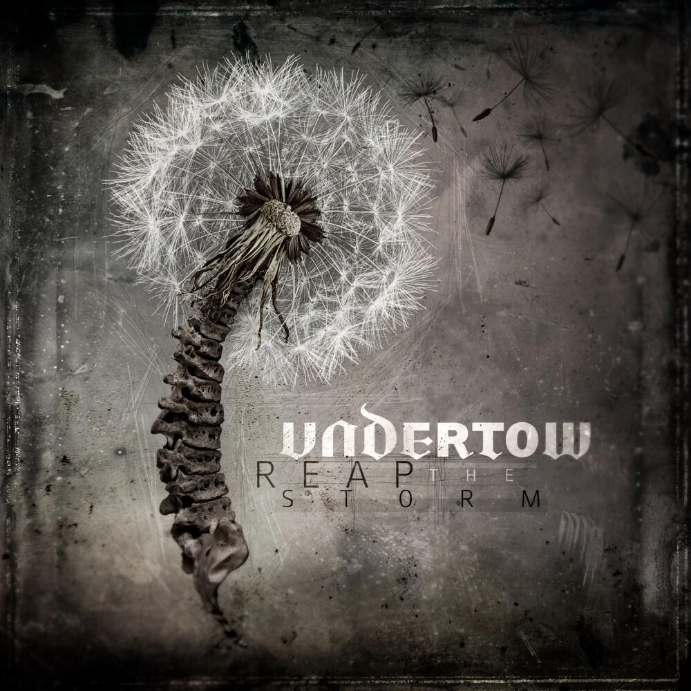 Релиз Reap the Storm