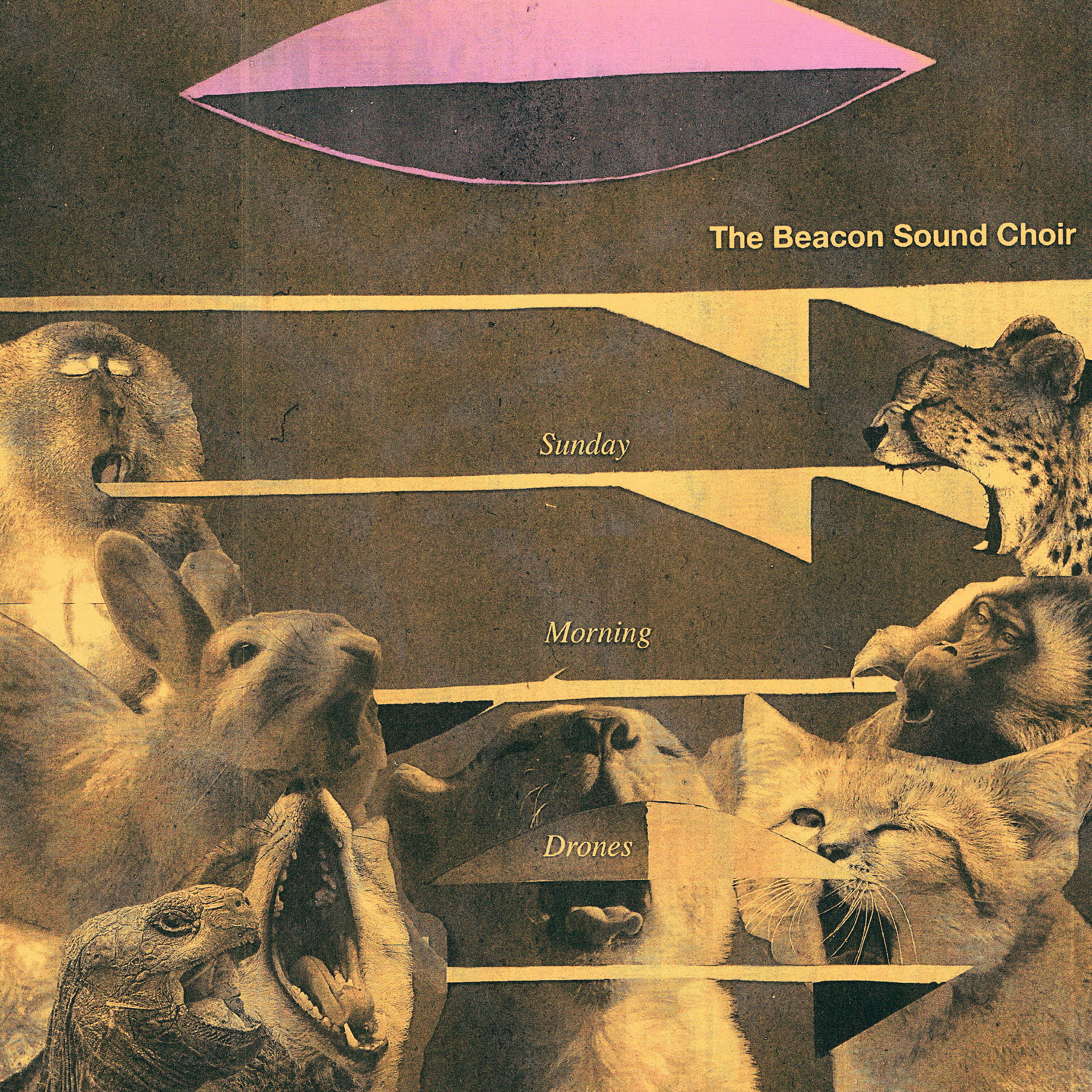 The Beacon Sound Choir