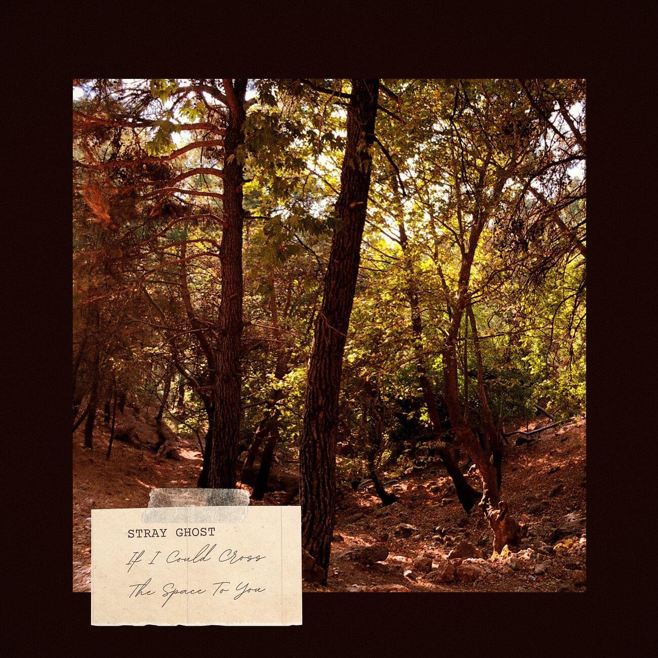 Релиз If I Could Cross the Space to You