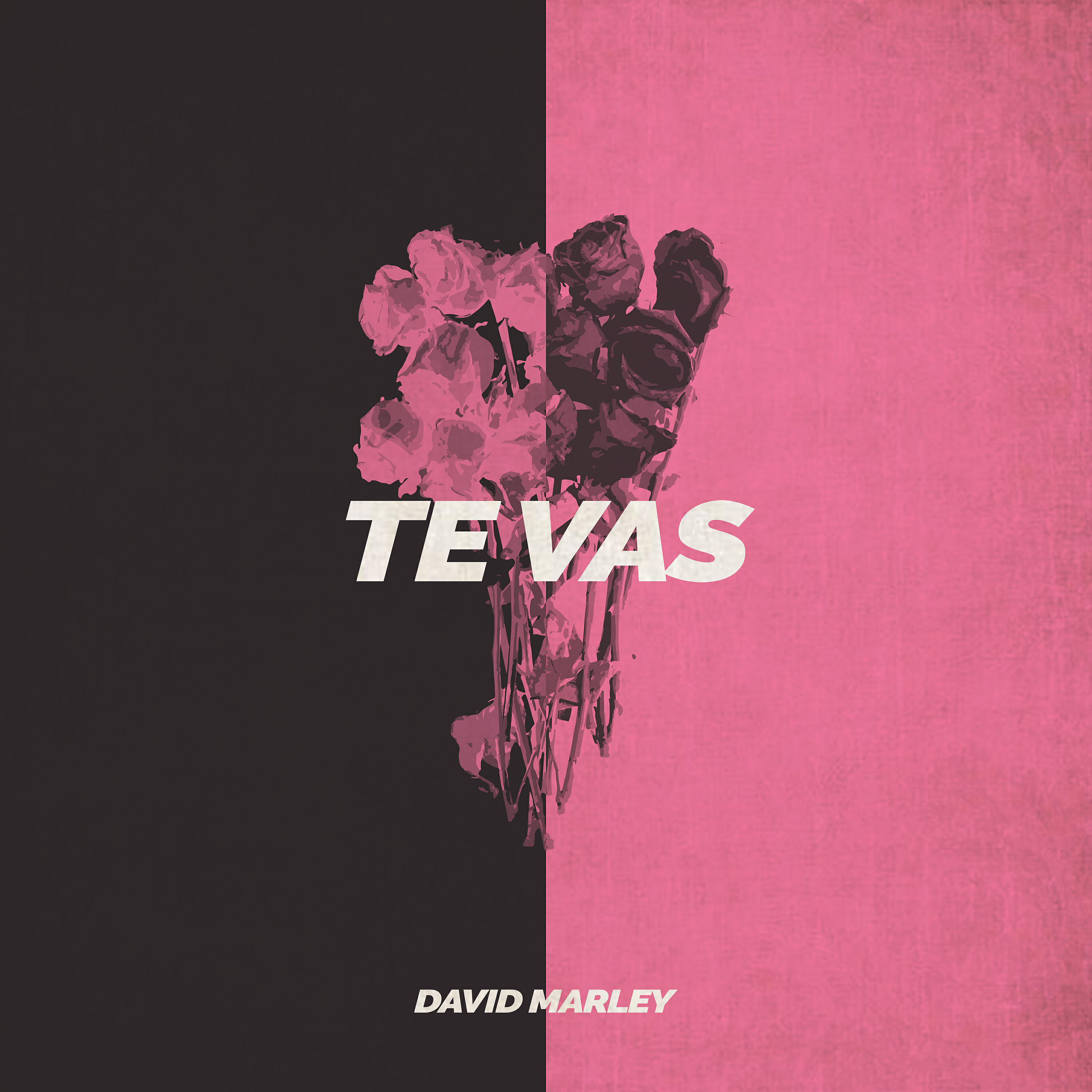 Релиз Te Vas