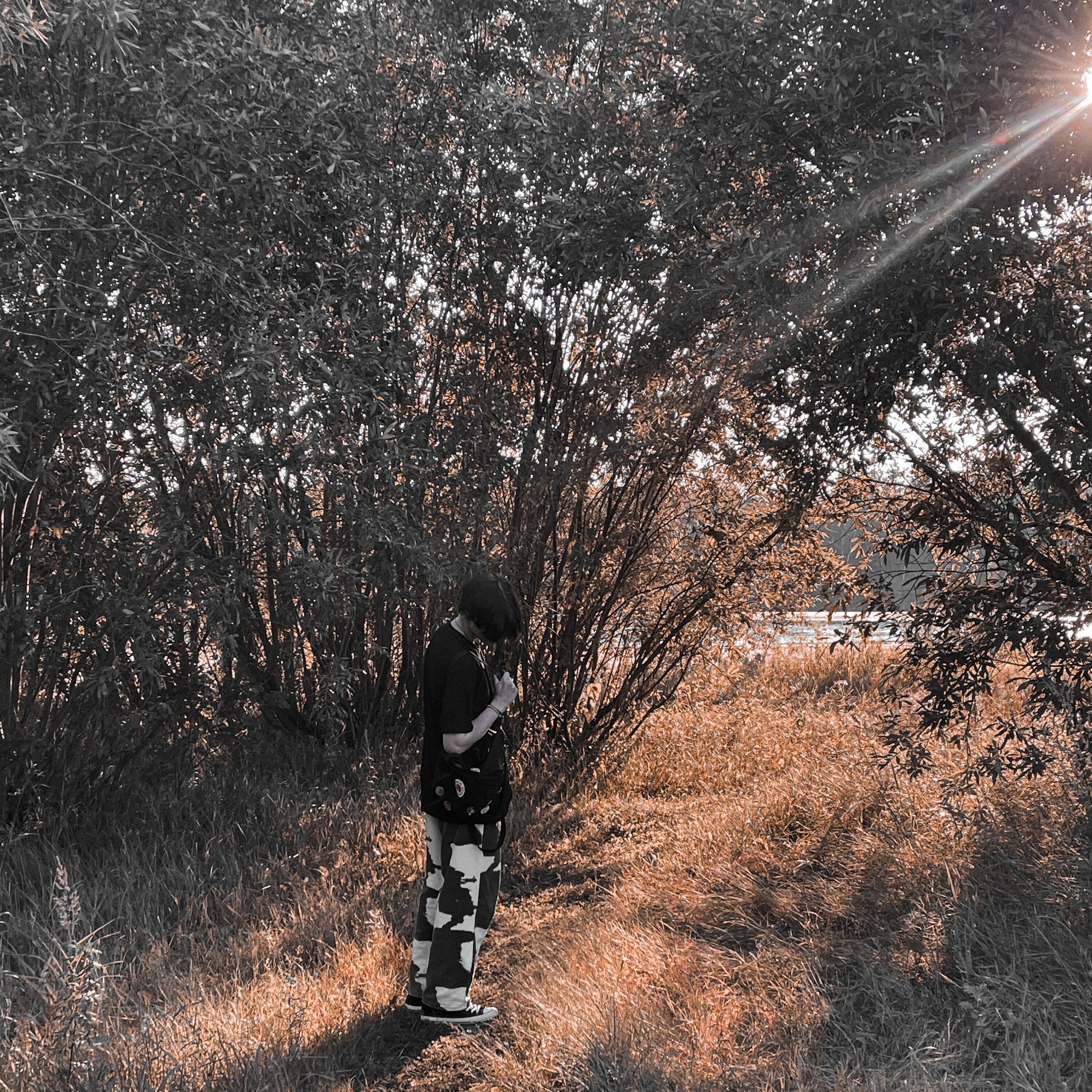Релиз nothing