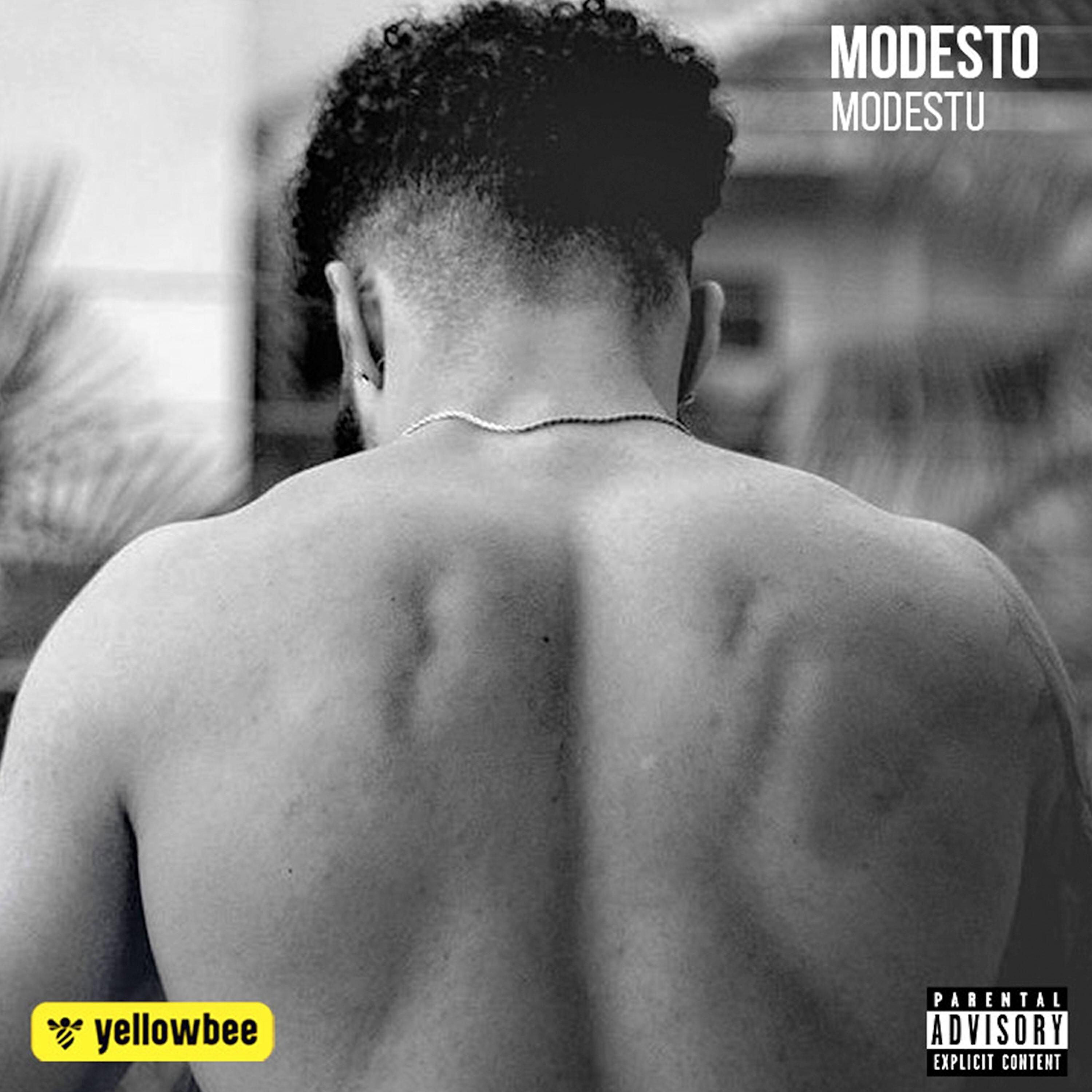 Релиз Modestu