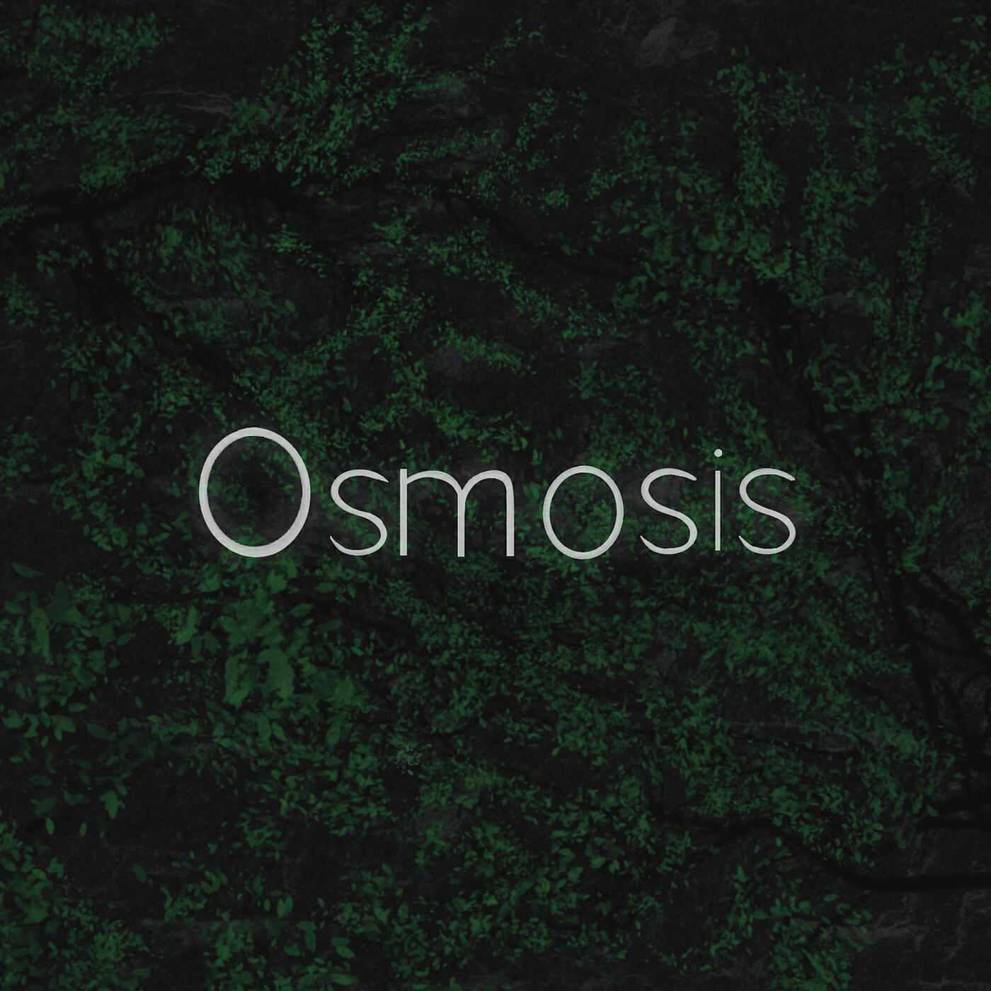 Релиз Osmosis