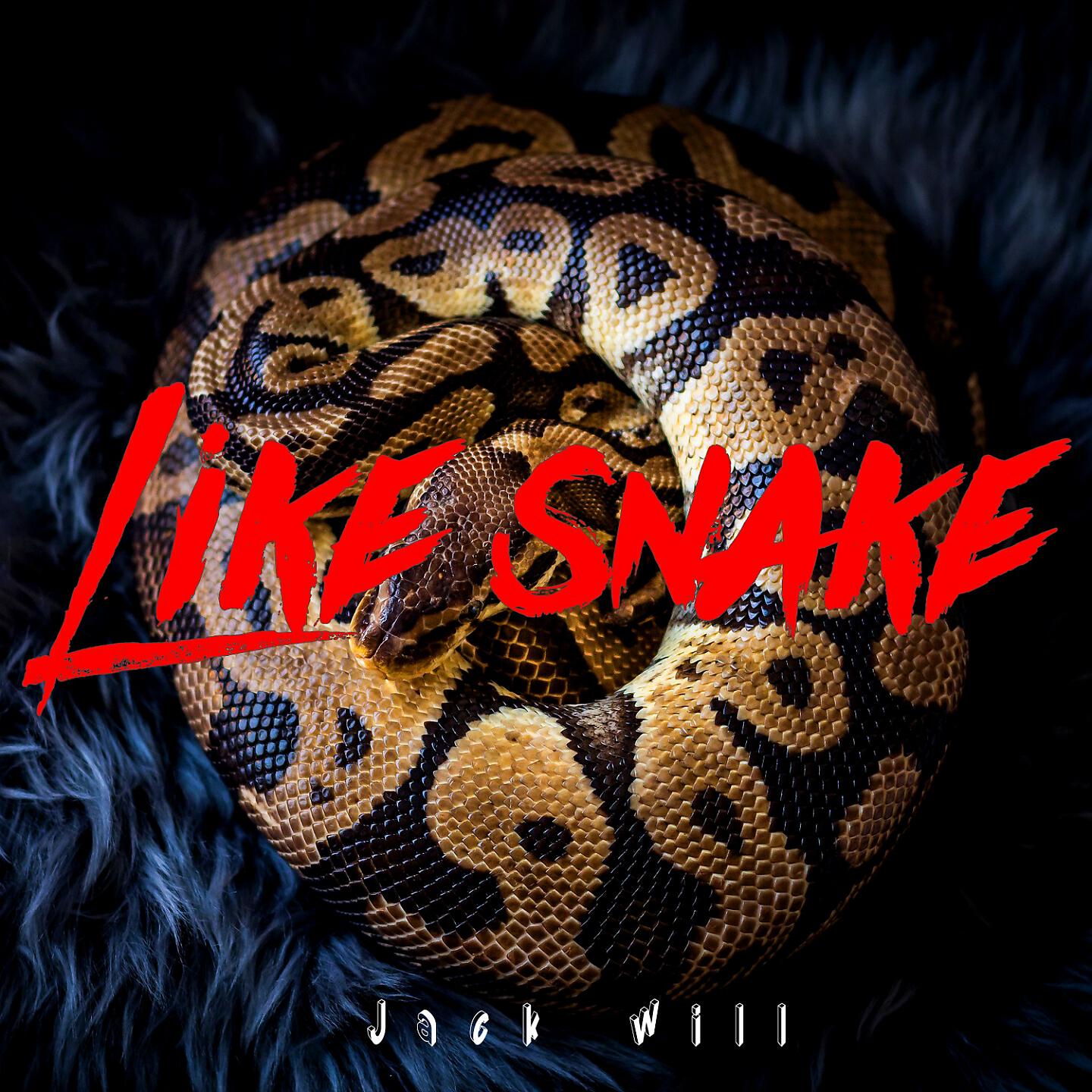Релиз Like snake
