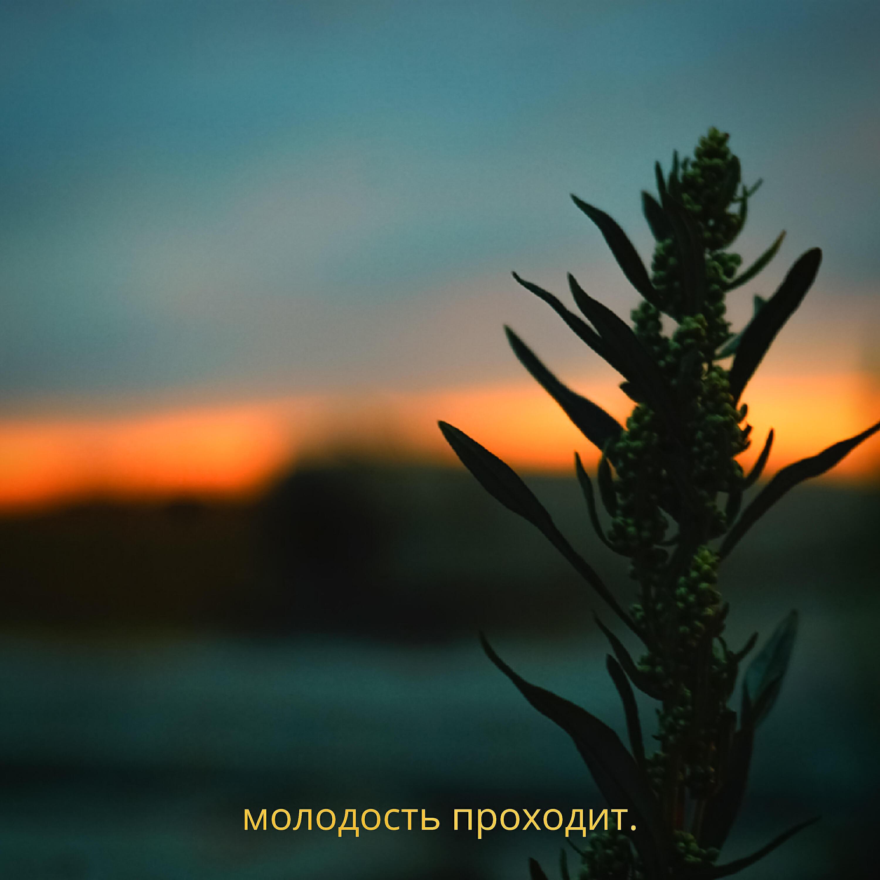 миртрудмай