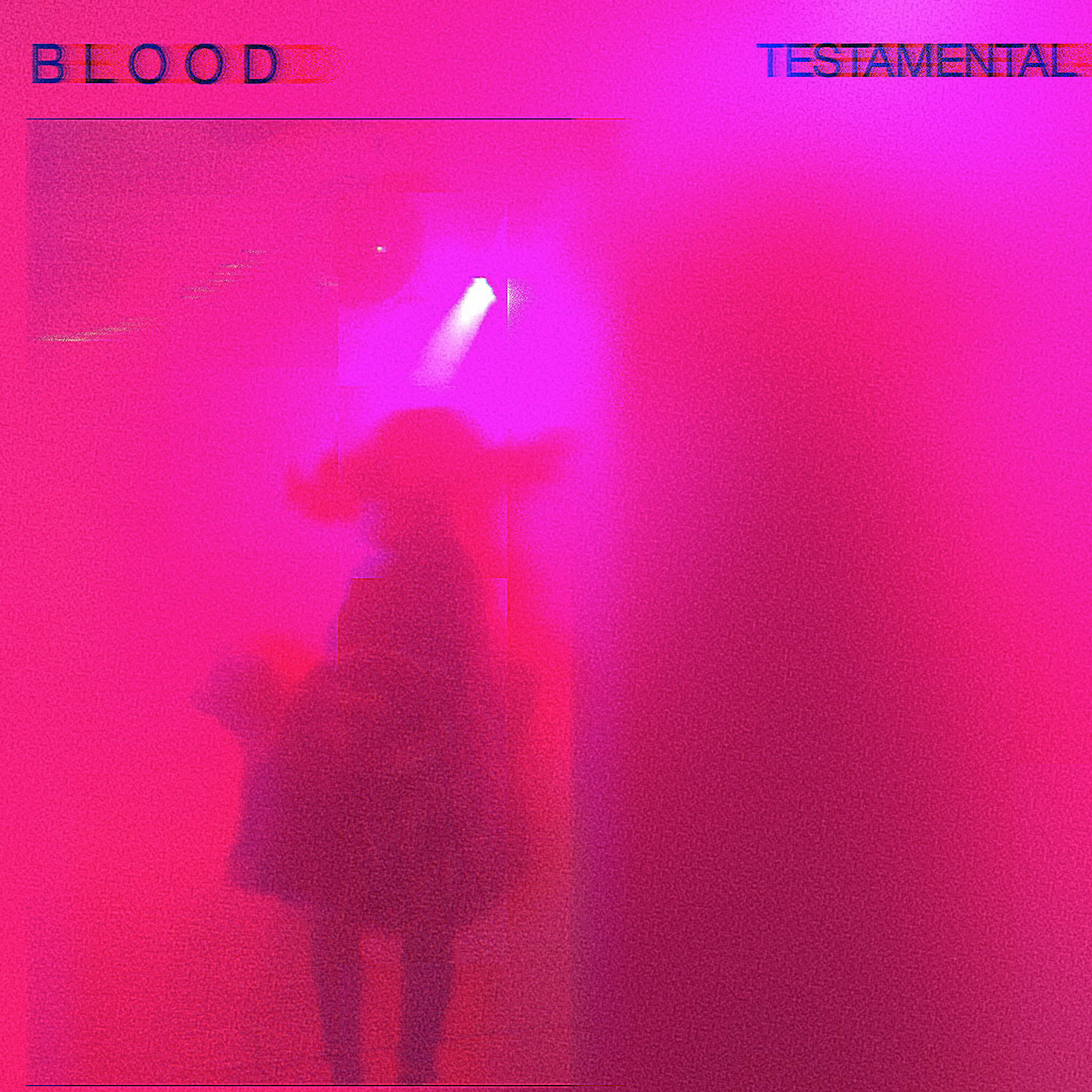 Релиз Testamental