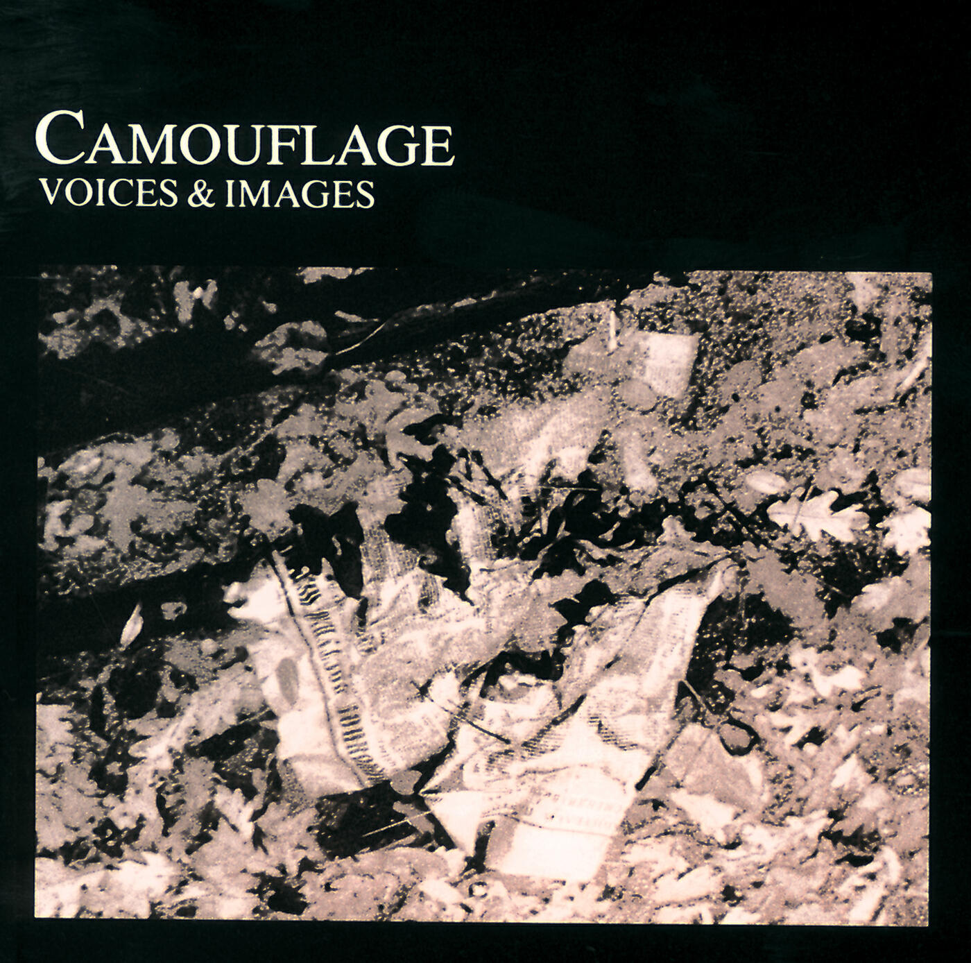 Релиз Voices & Images