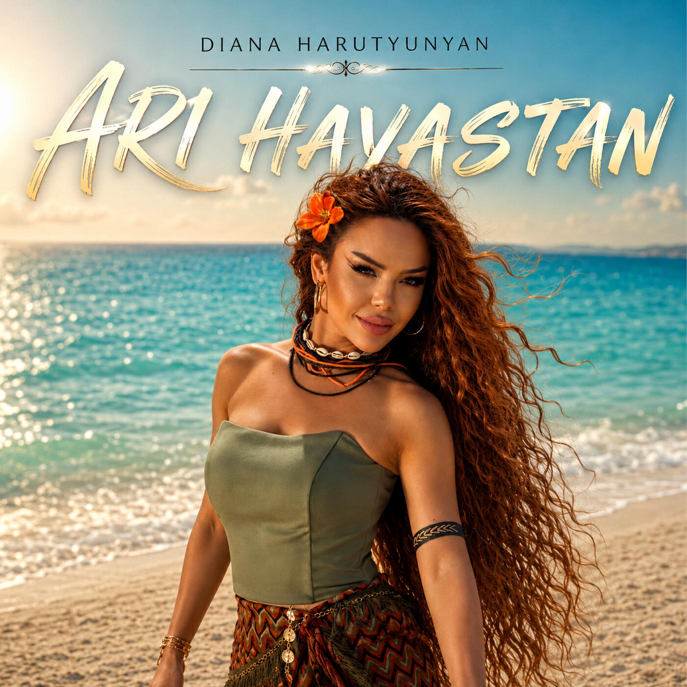 Релиз Ari Hayastan