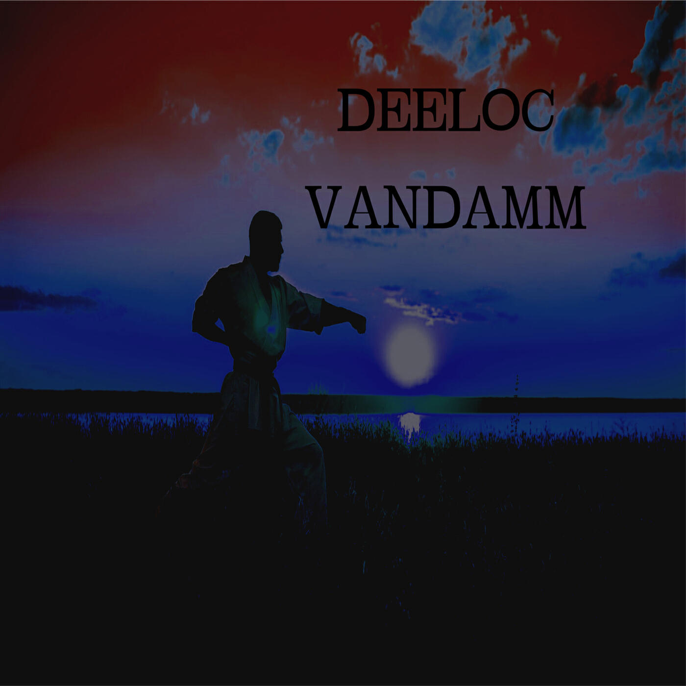 Постер альбома VanDamm