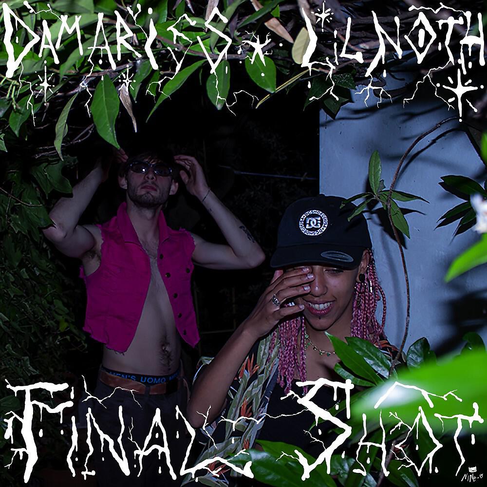 Релиз Final Shot