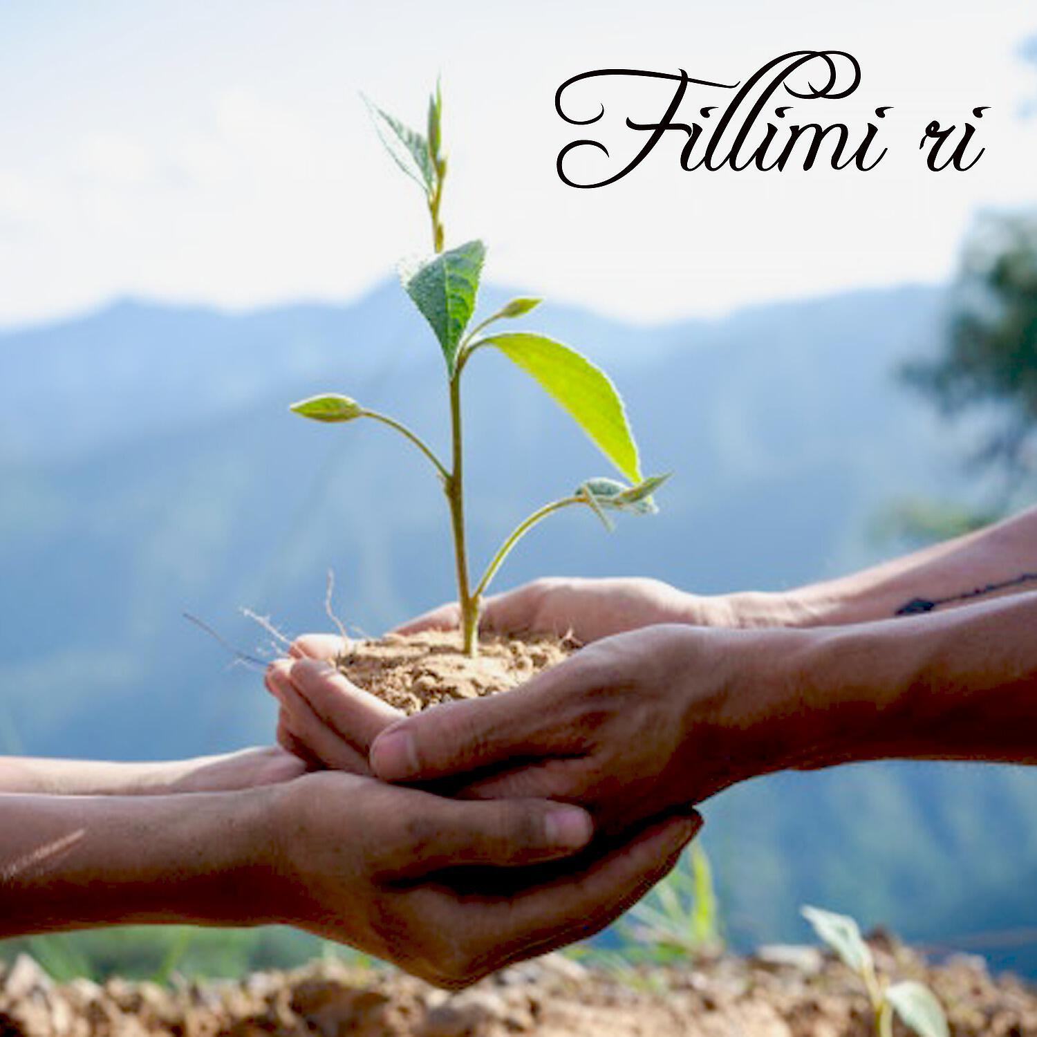 Релиз Fillimi ri