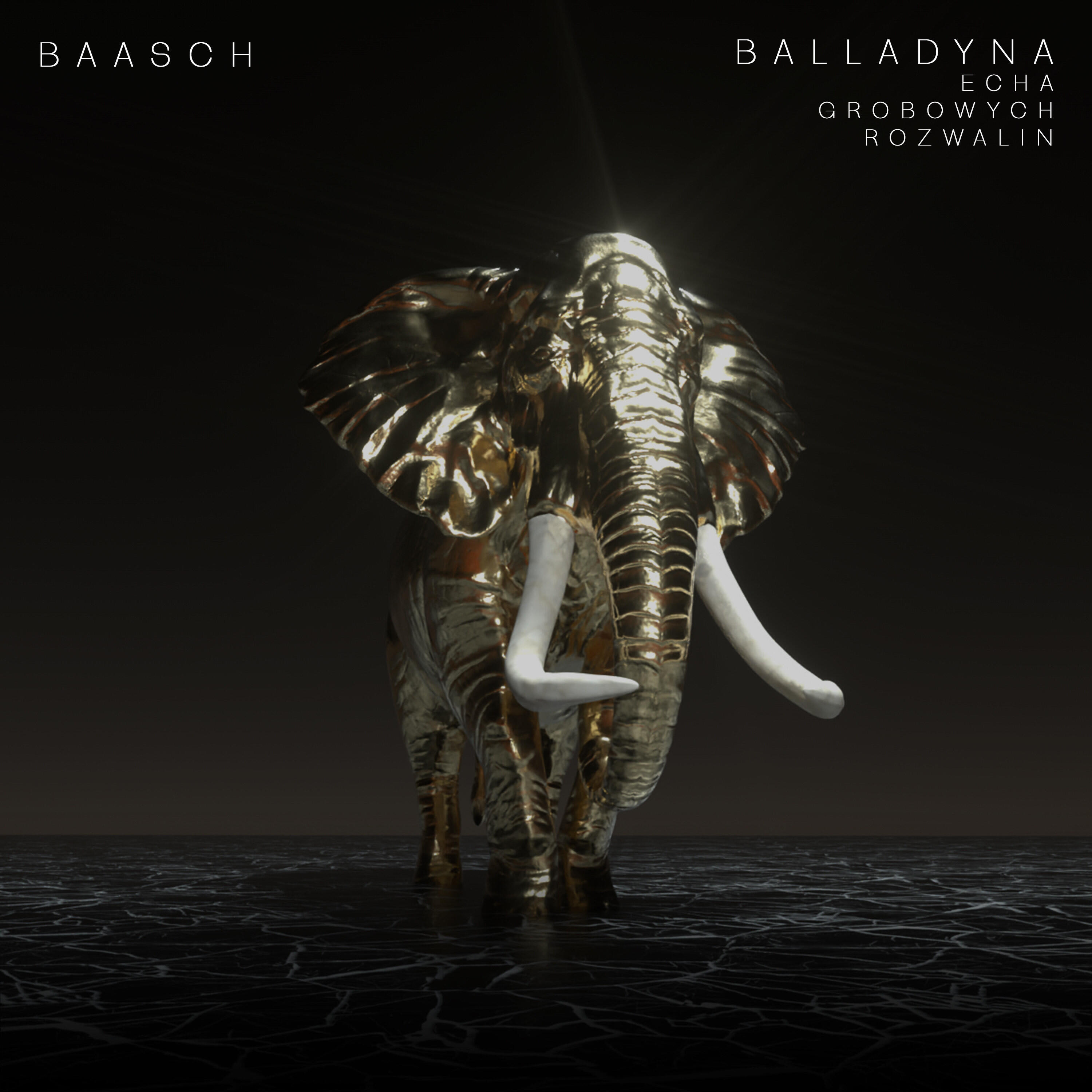 Релиз Balladyna. Echa Grobowych Rozwalin (Original Soundtrack)