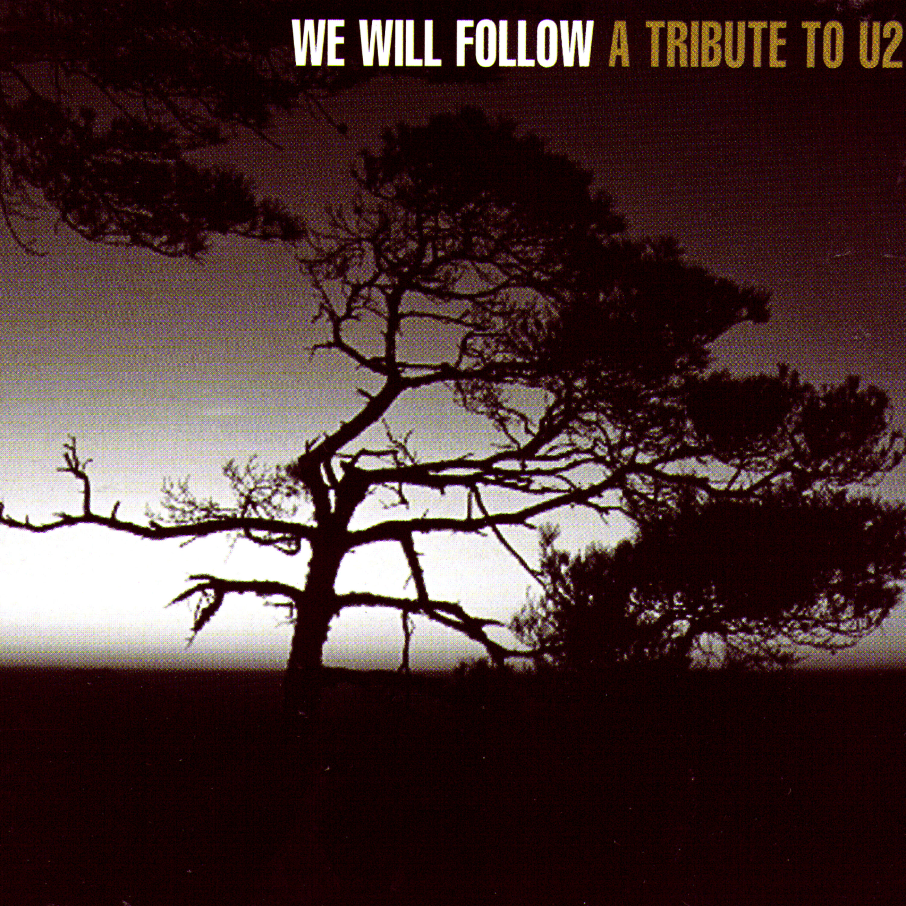 Релиз We Will Follow: A Tribute to U2