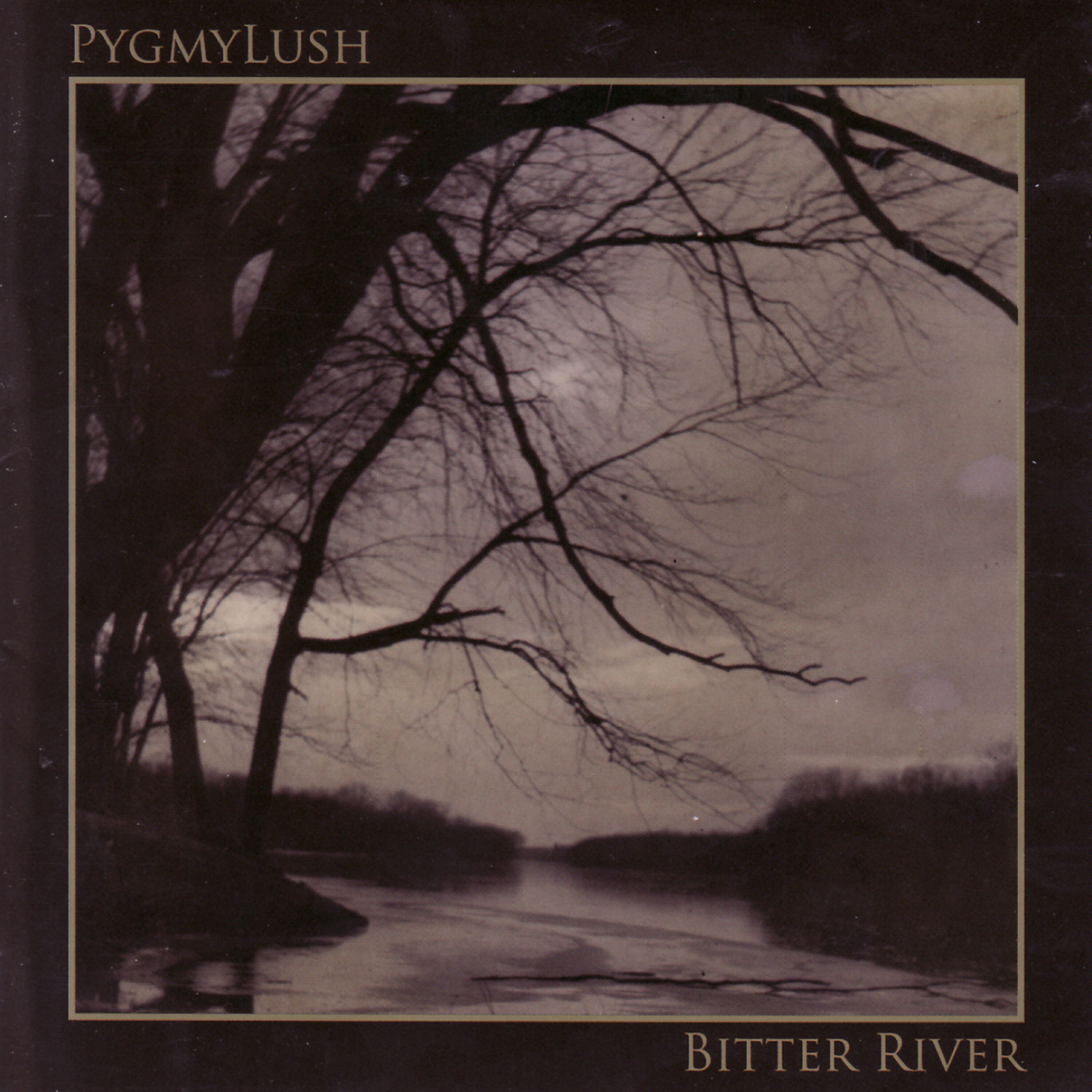 Релиз Bitter River