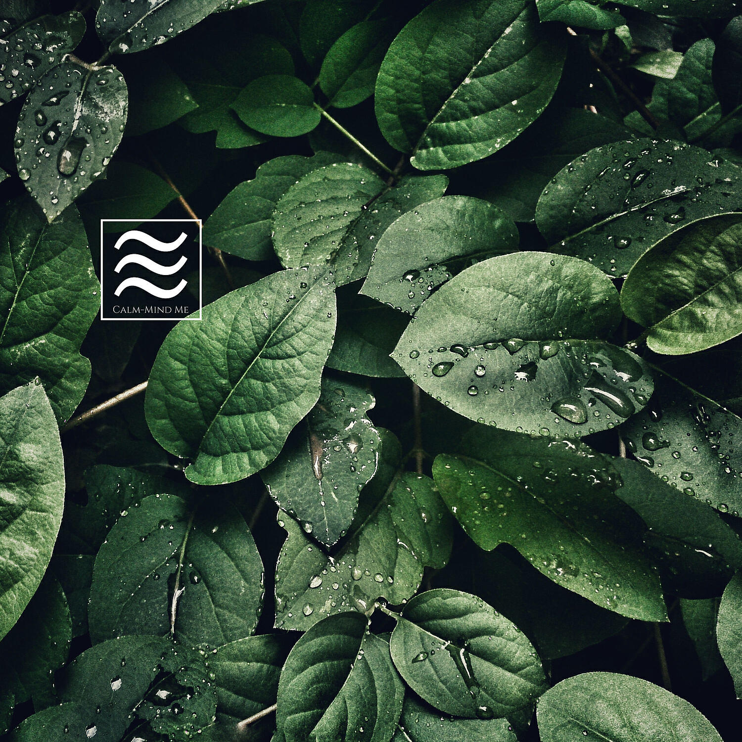 Релиз Sleeping Nature Soughs for Dreams and Sleeping Kids