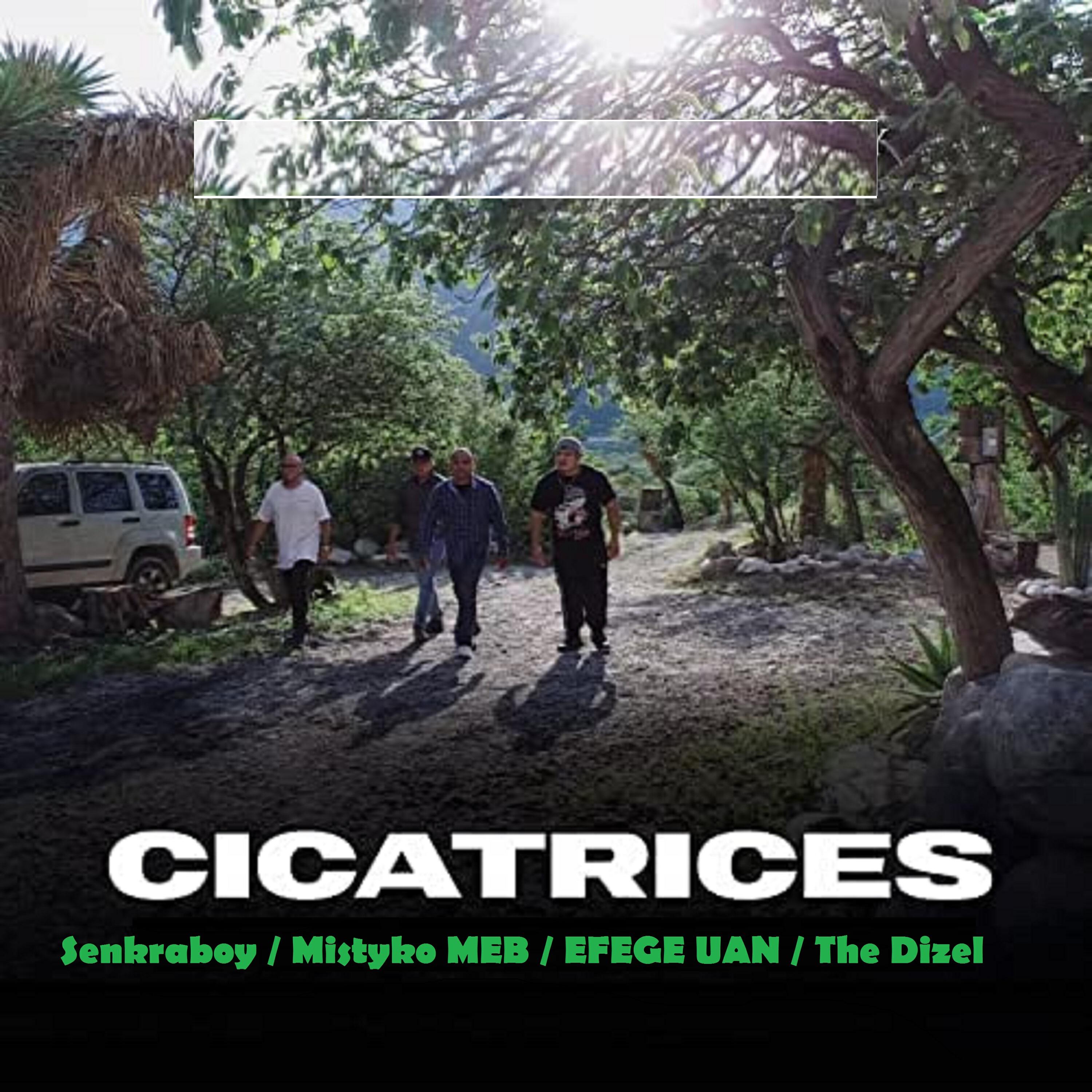 Релиз Cicatrices
