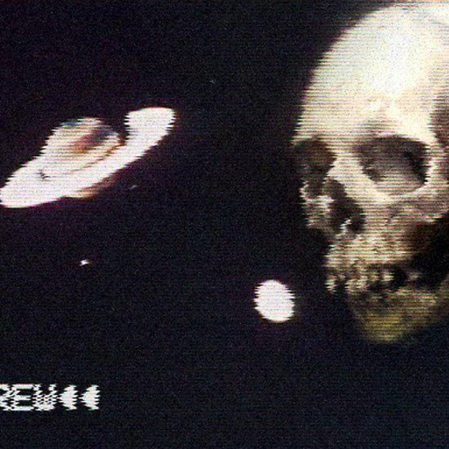 Релиз Gun Shot