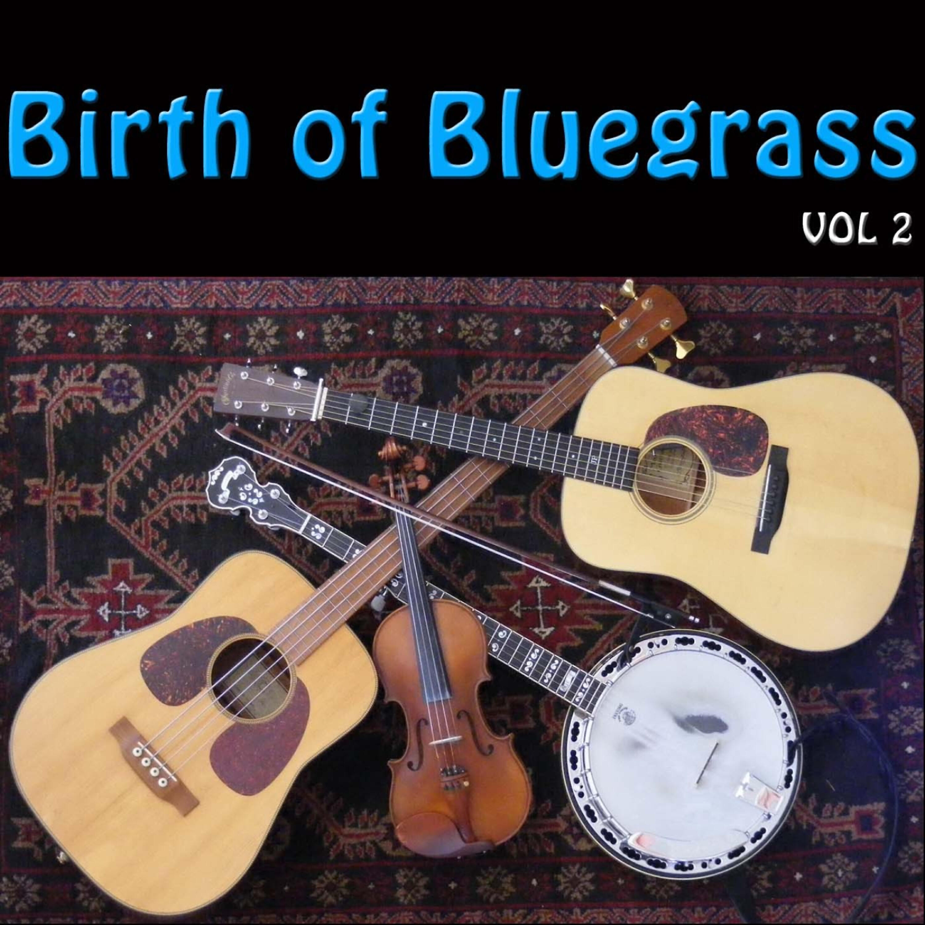 Релиз Birth of Bluegrass, Vol. 2