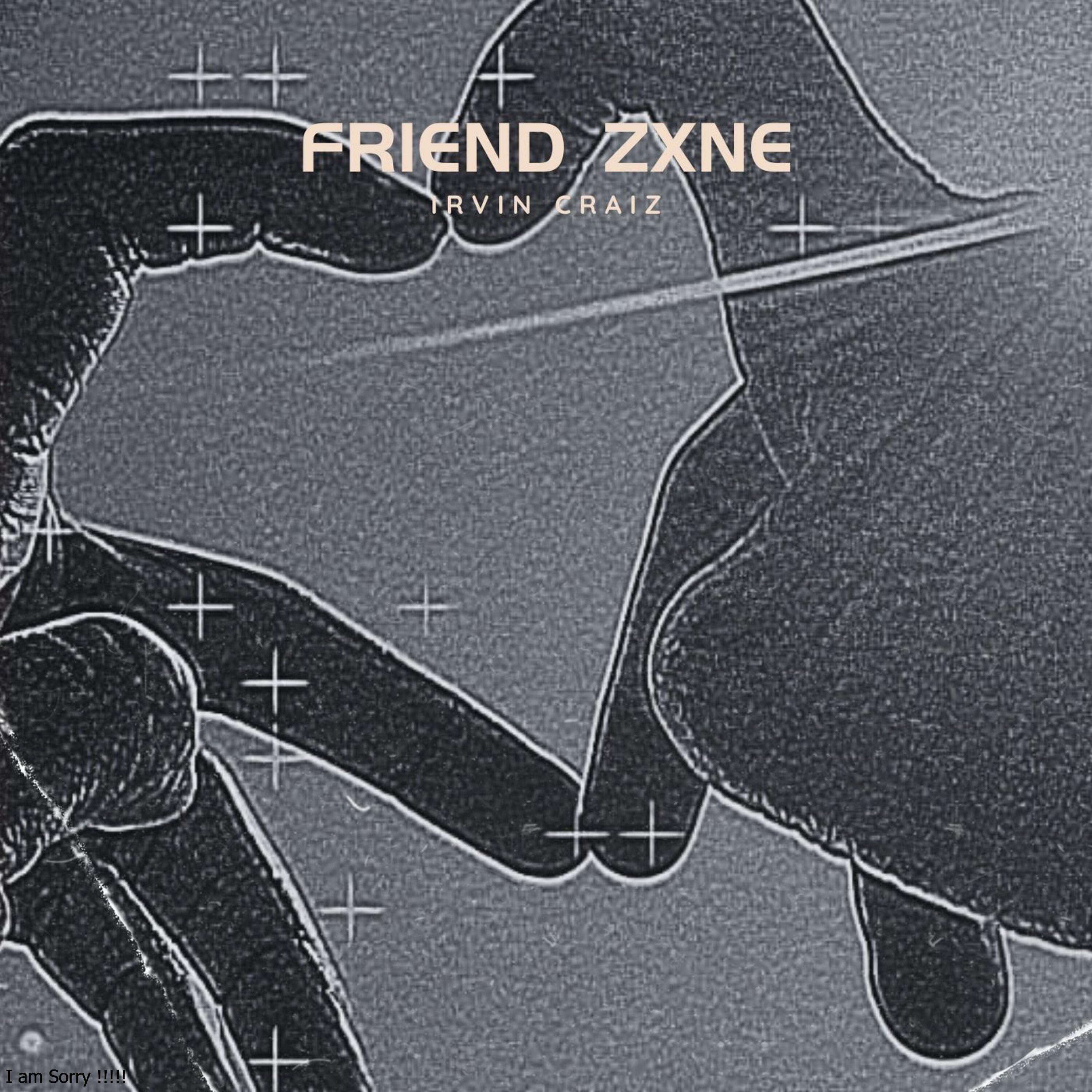 Релиз Friend Zone