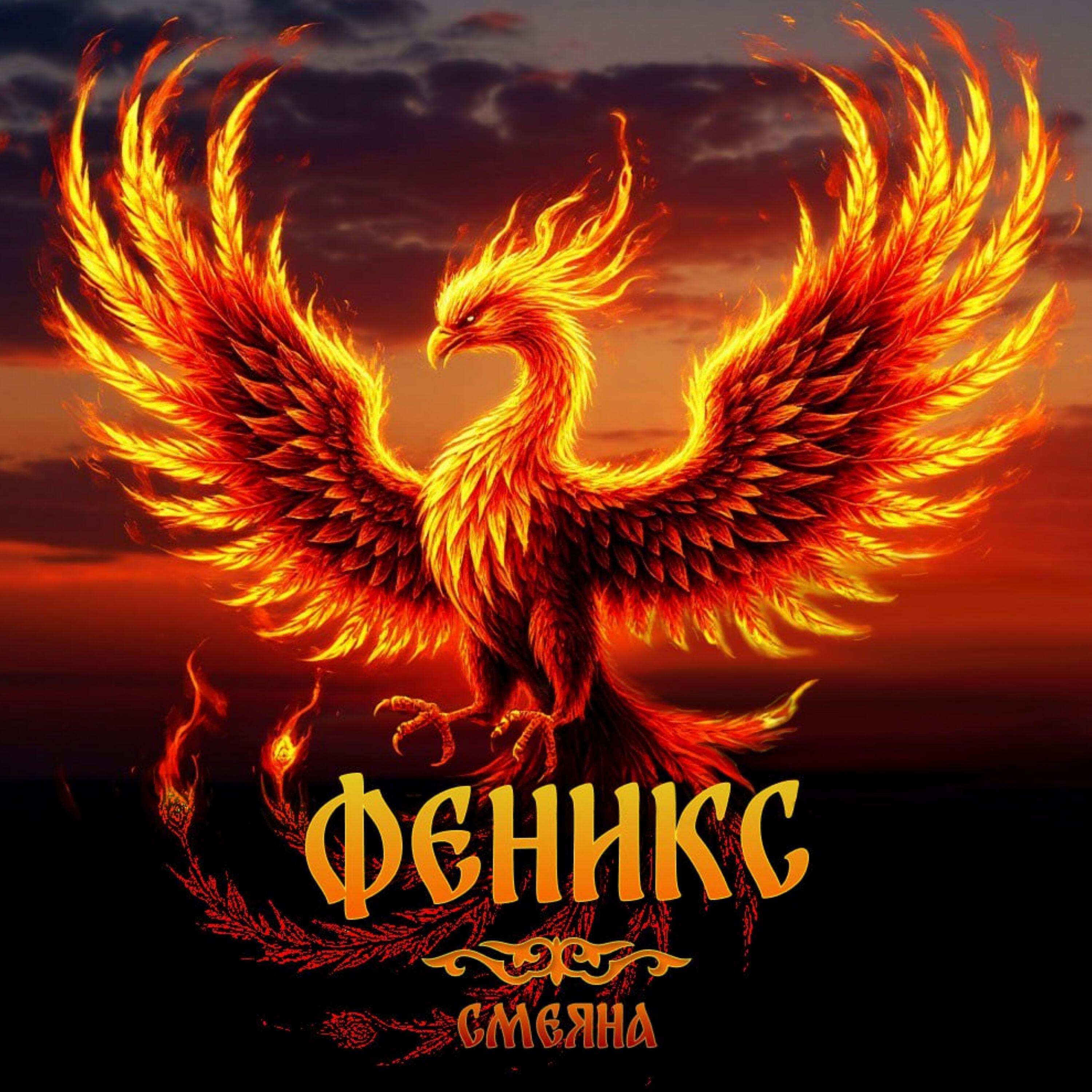 Релиз Феникс