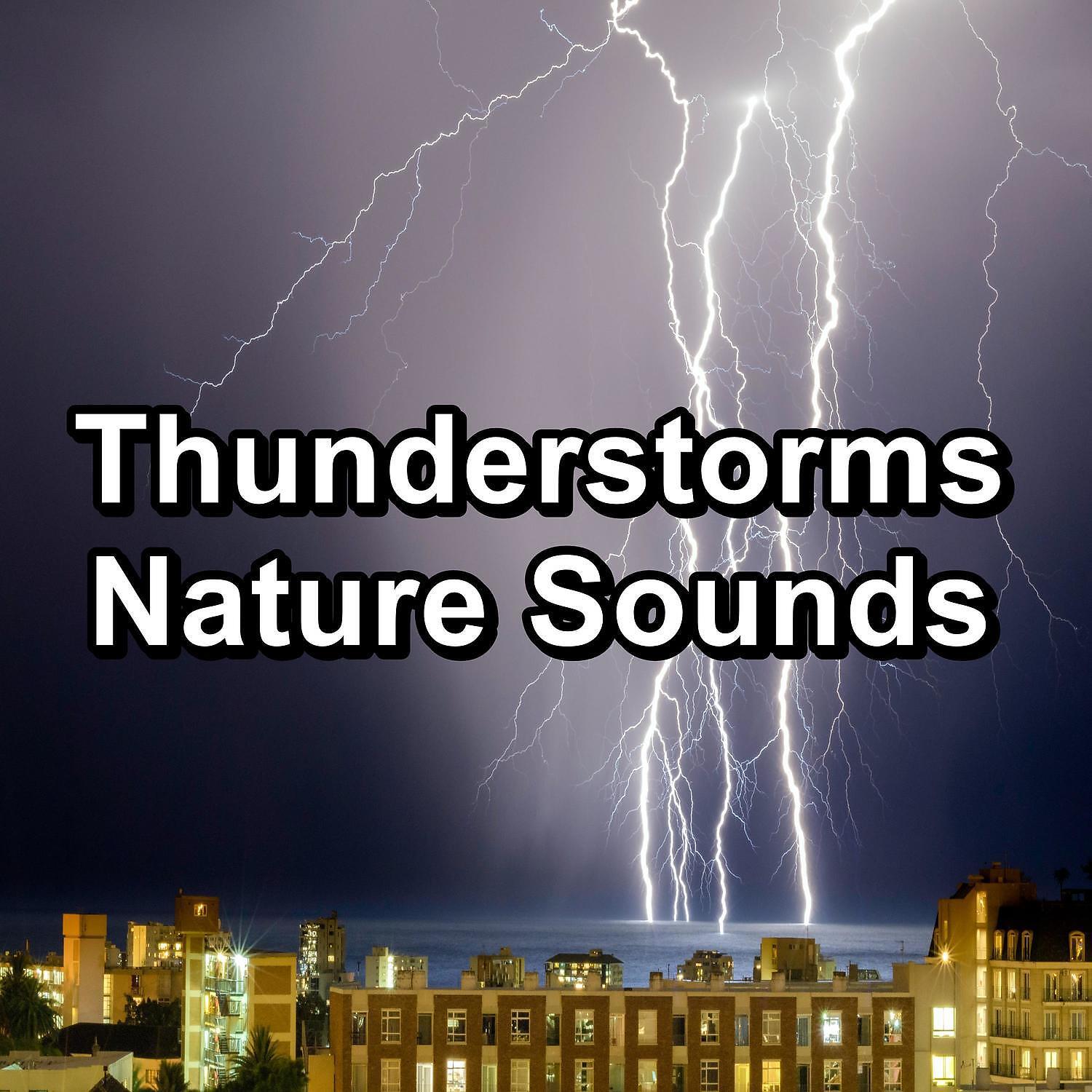 Релиз Thunderstorms Nature Sounds