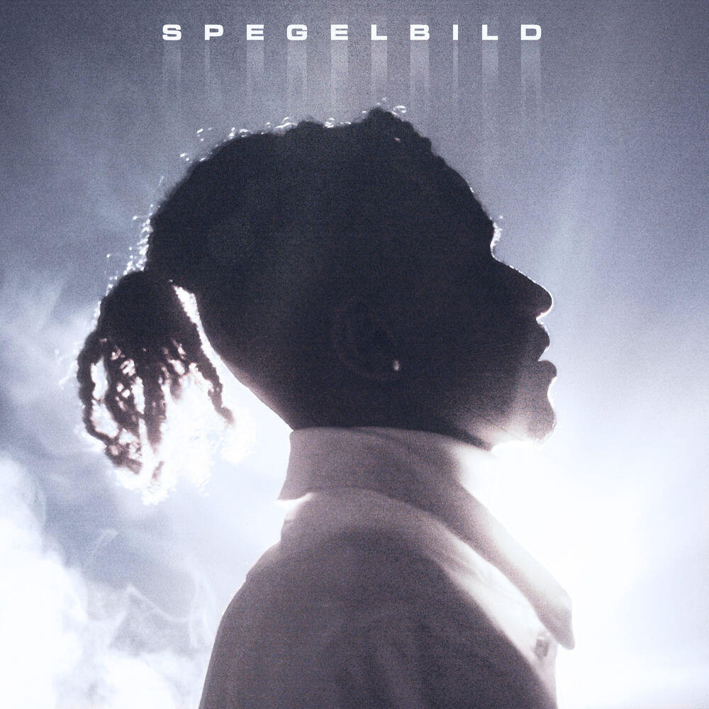 Релиз SPEGELBILD