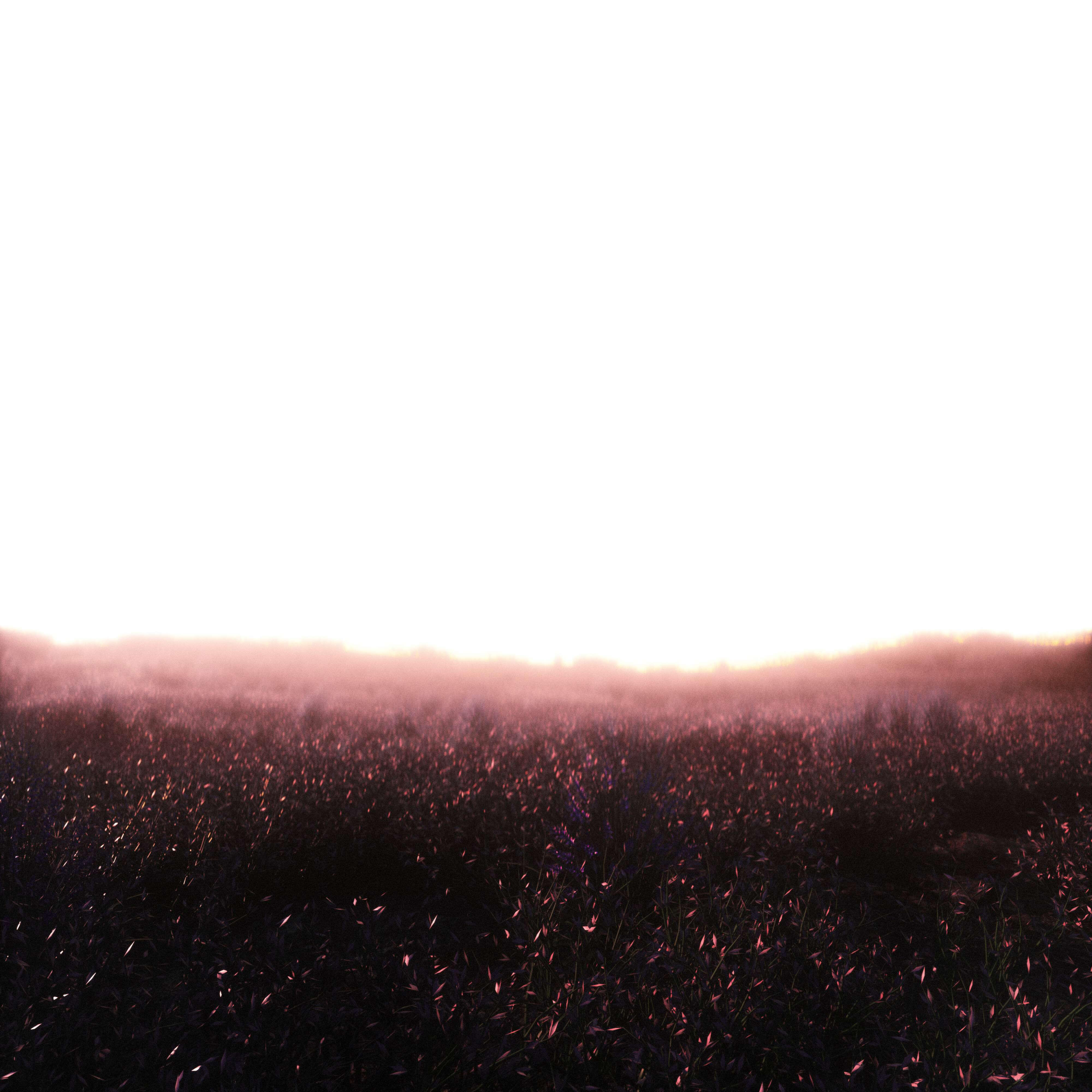 Релиз Daydreaming