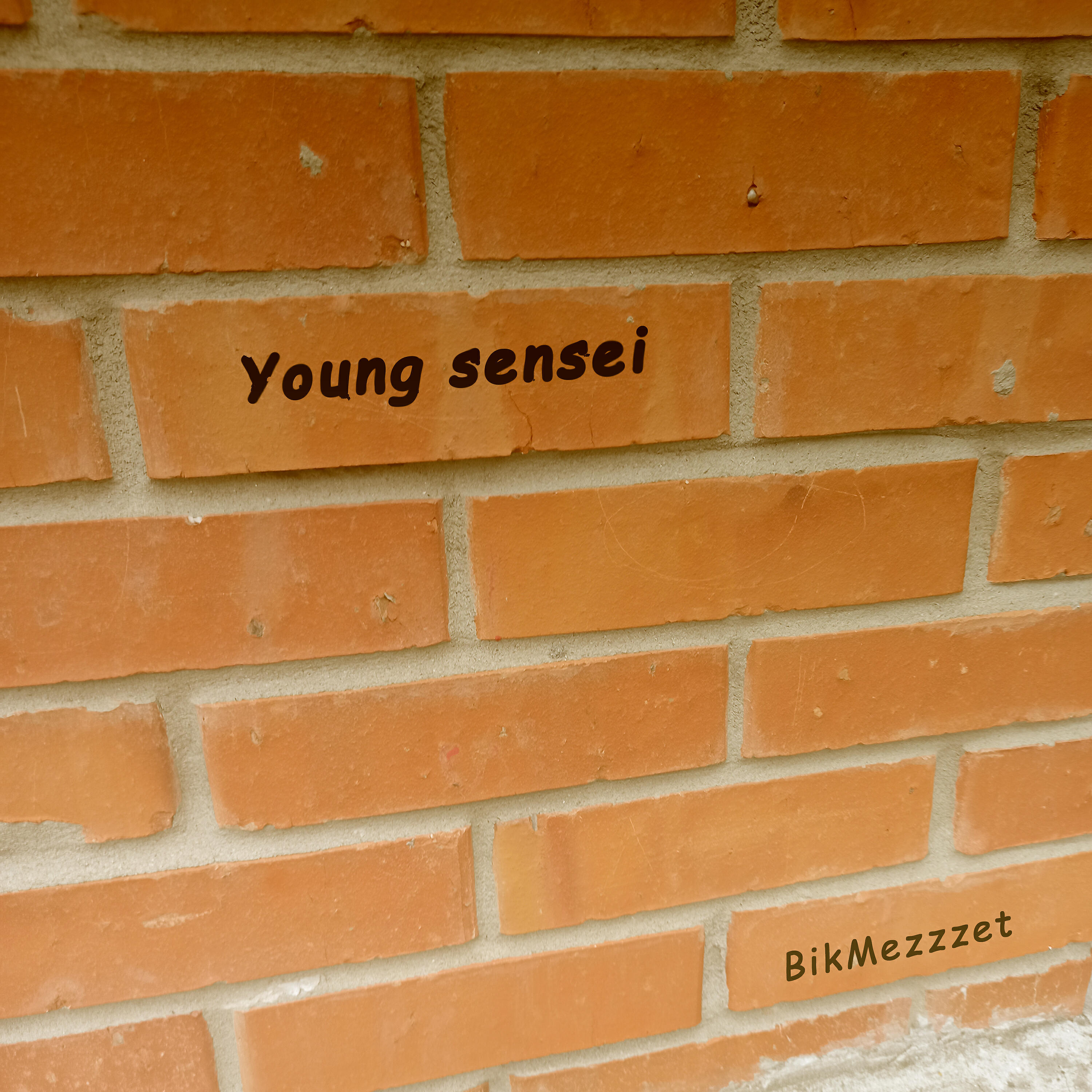 Релиз Young Sensei
