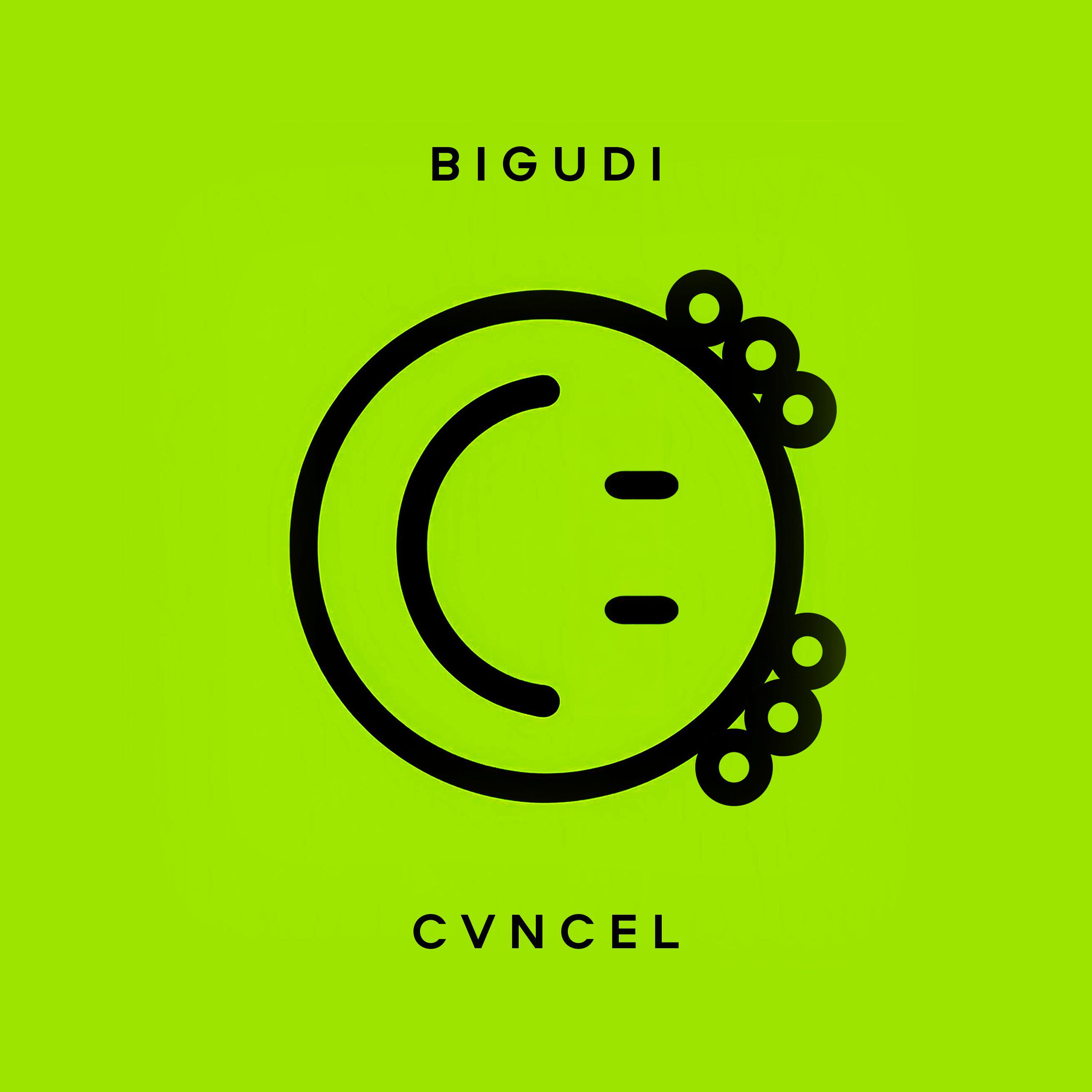 Релиз BIGUDI