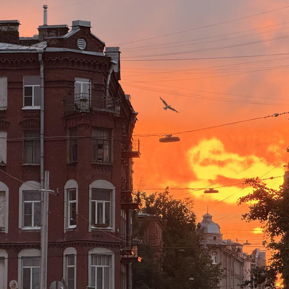 Релиз Жаль что я такой