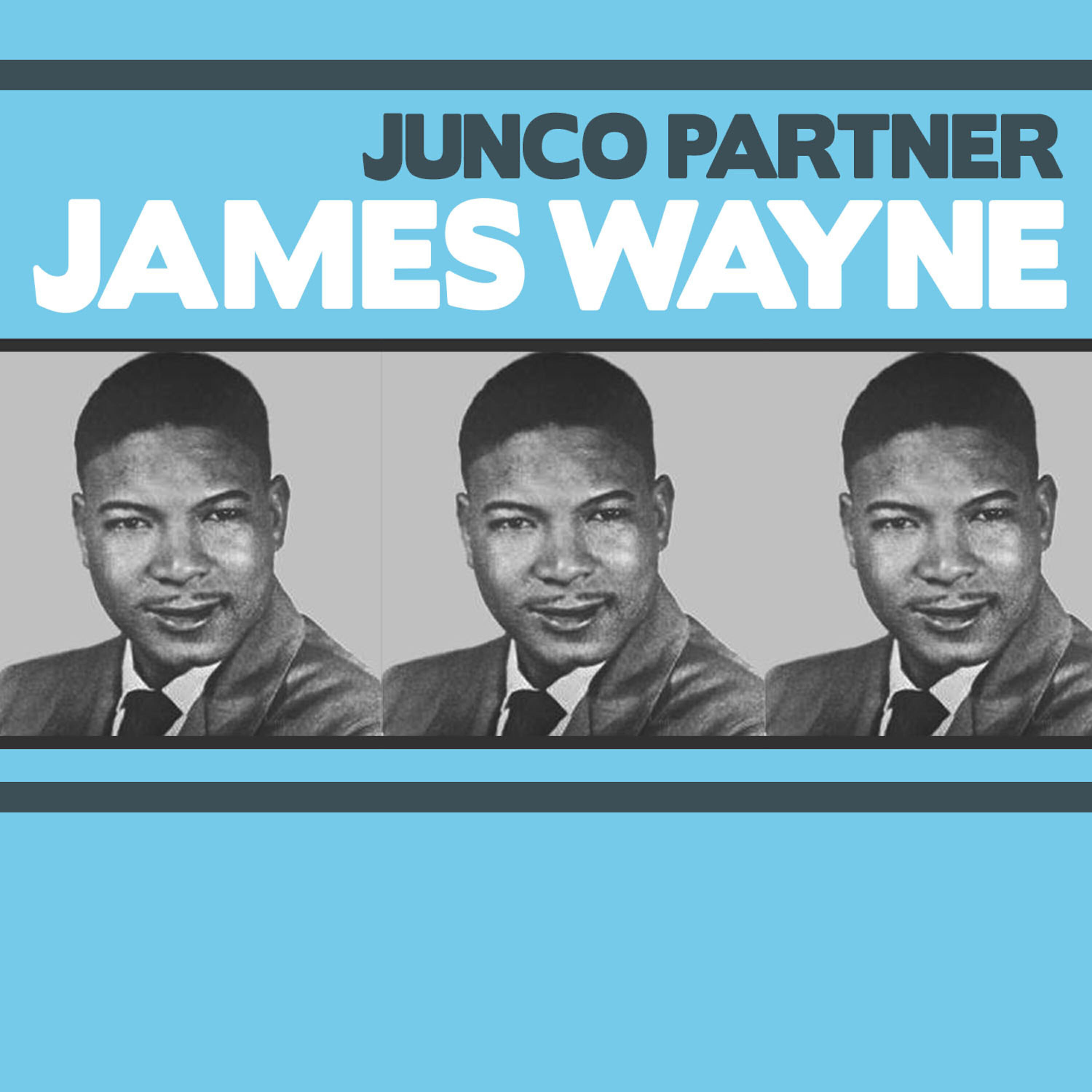 Релиз Junco Partner