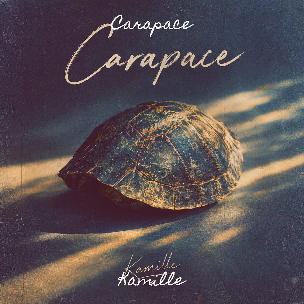 Релиз Carapace
