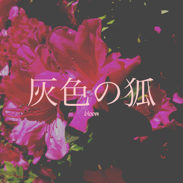 Релиз Bloom