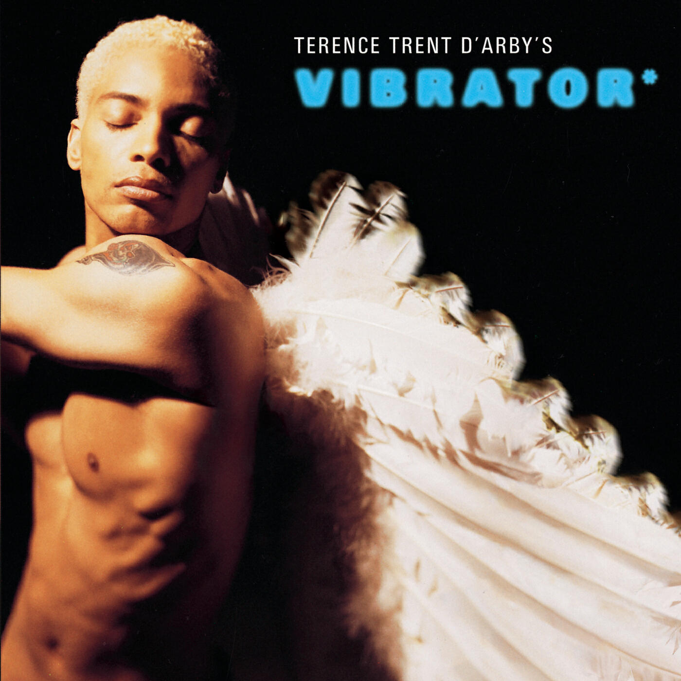Релиз Ttd'S Vibrator