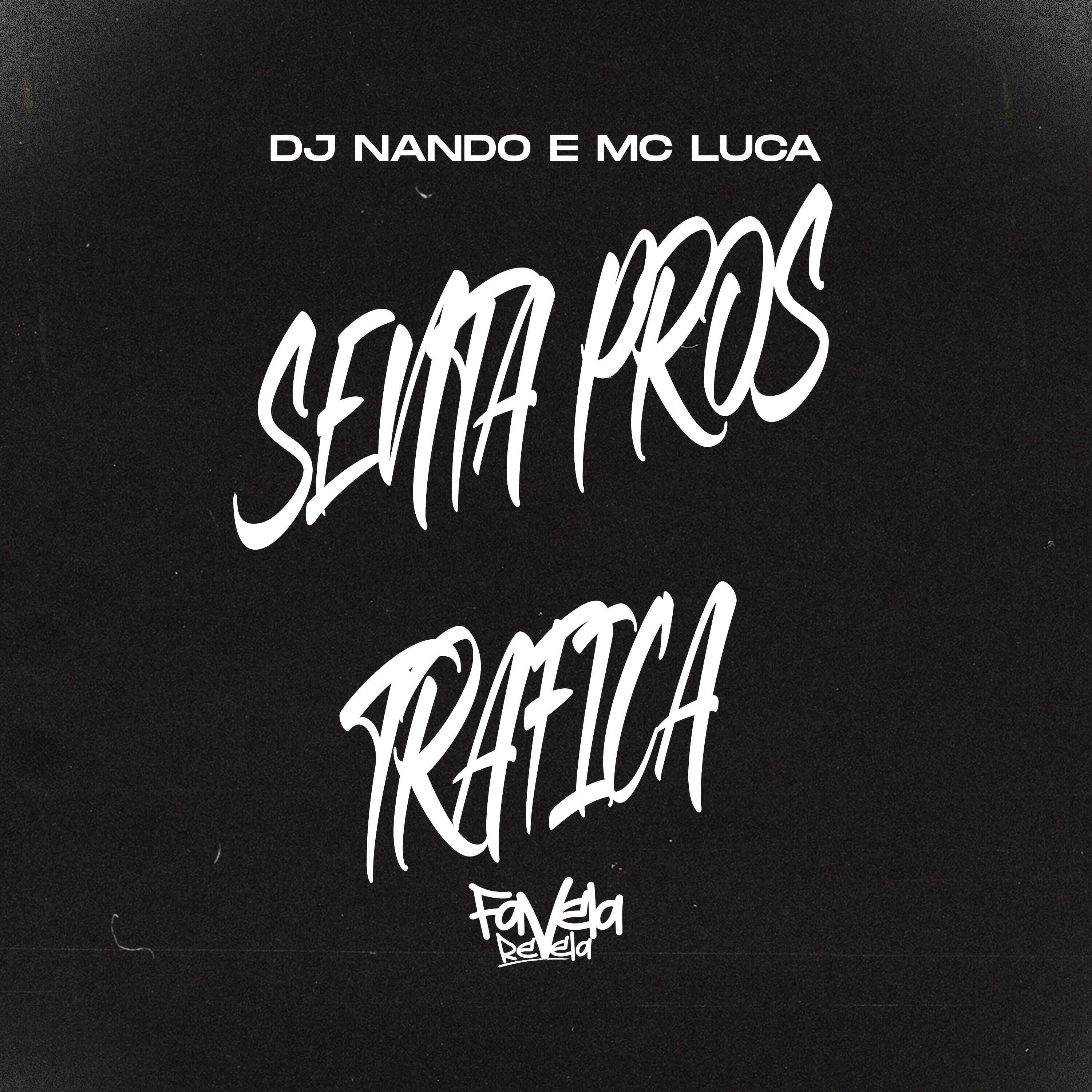 Релиз Senta Pros Trafica