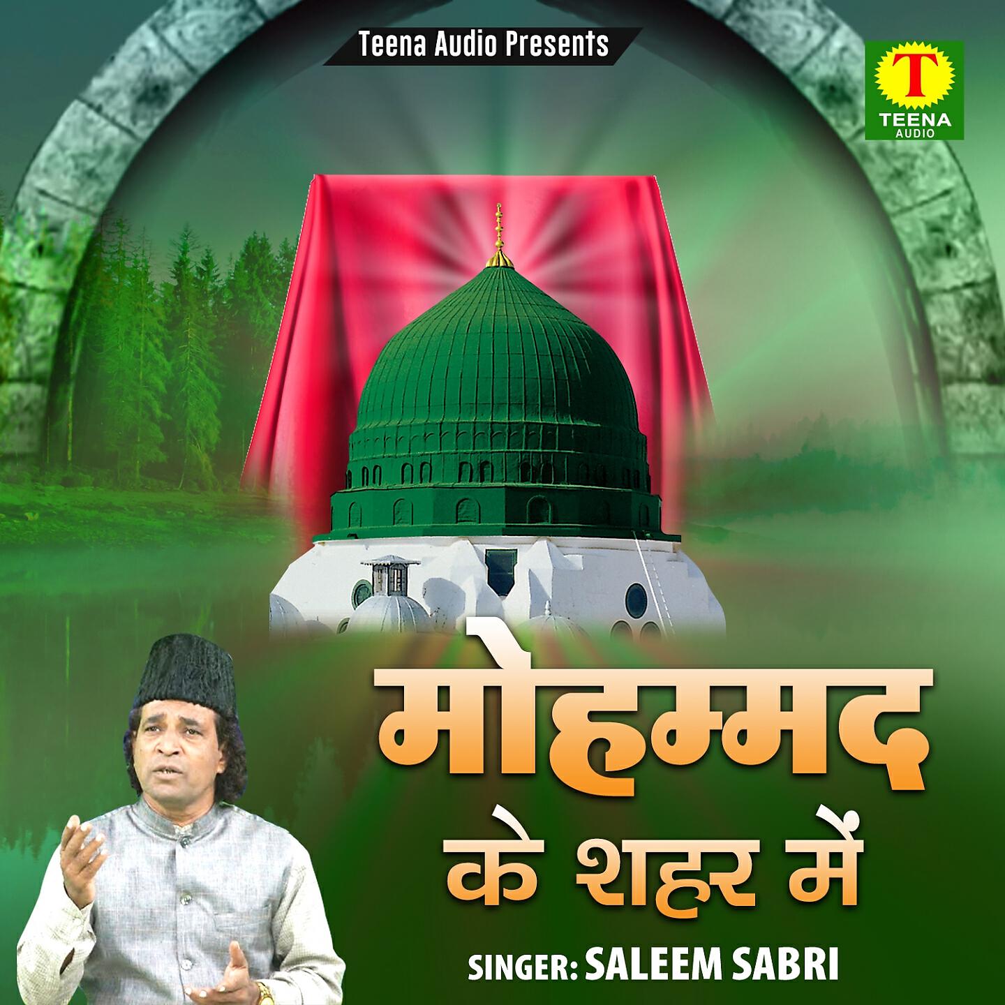 Saleem Sabri