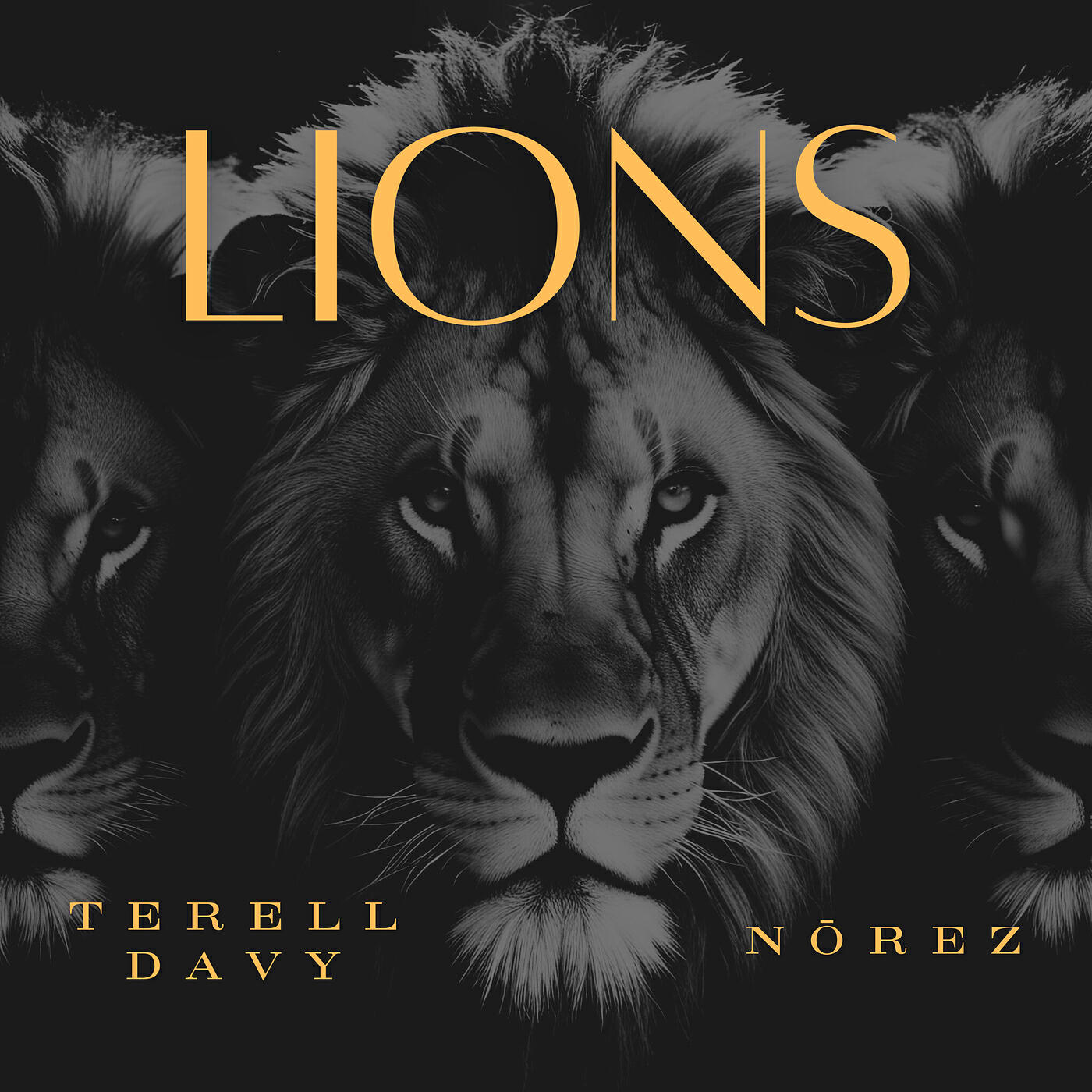 Релиз Lions