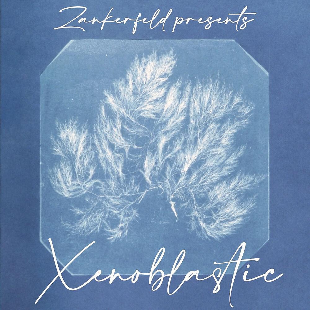 Zankerfeld
