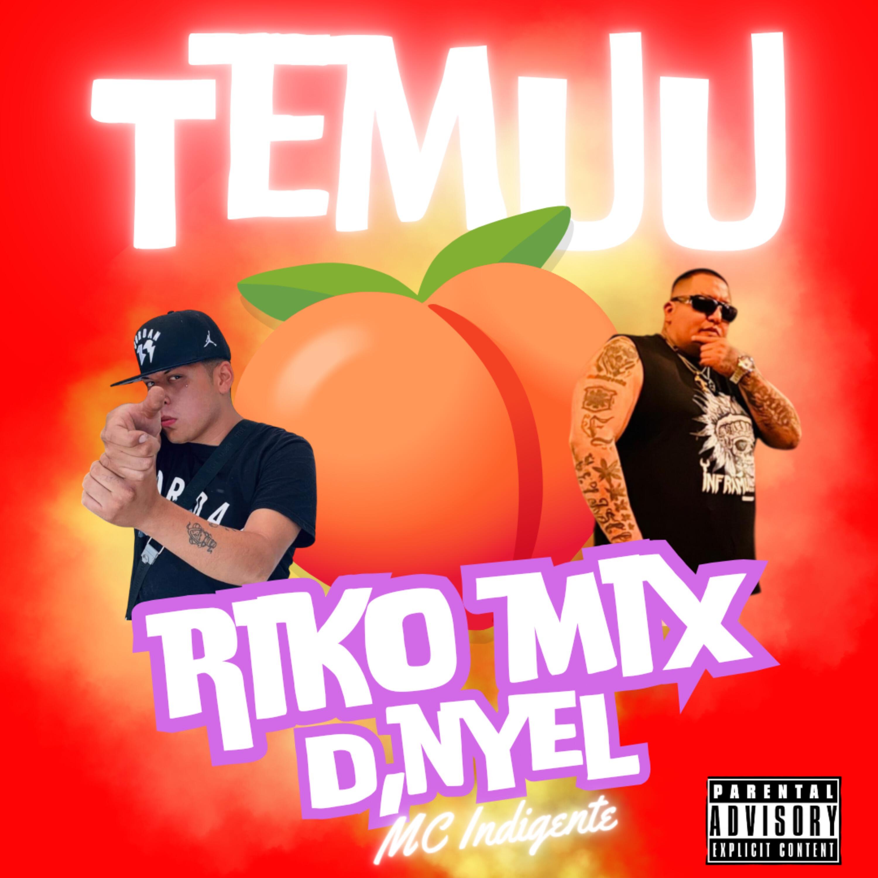 Релиз Temuu