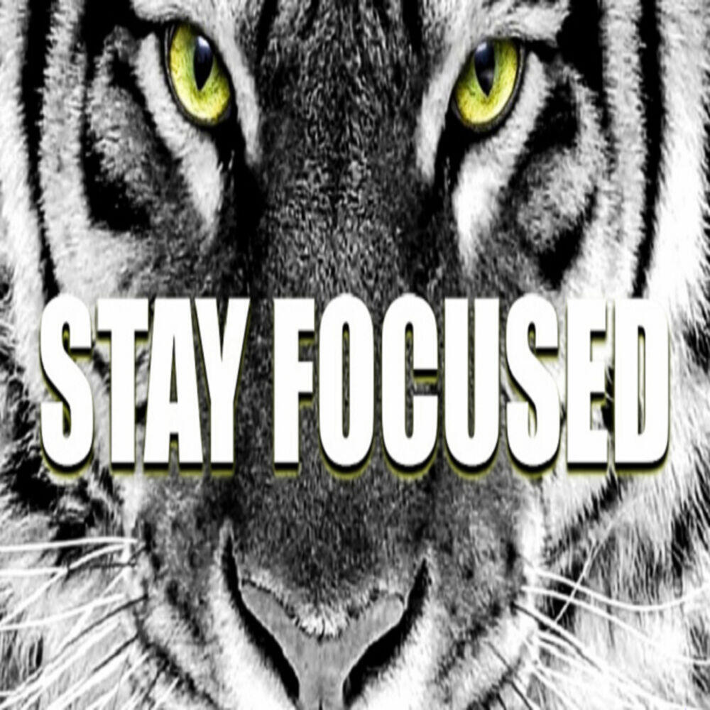 Релиз Stay Focused
