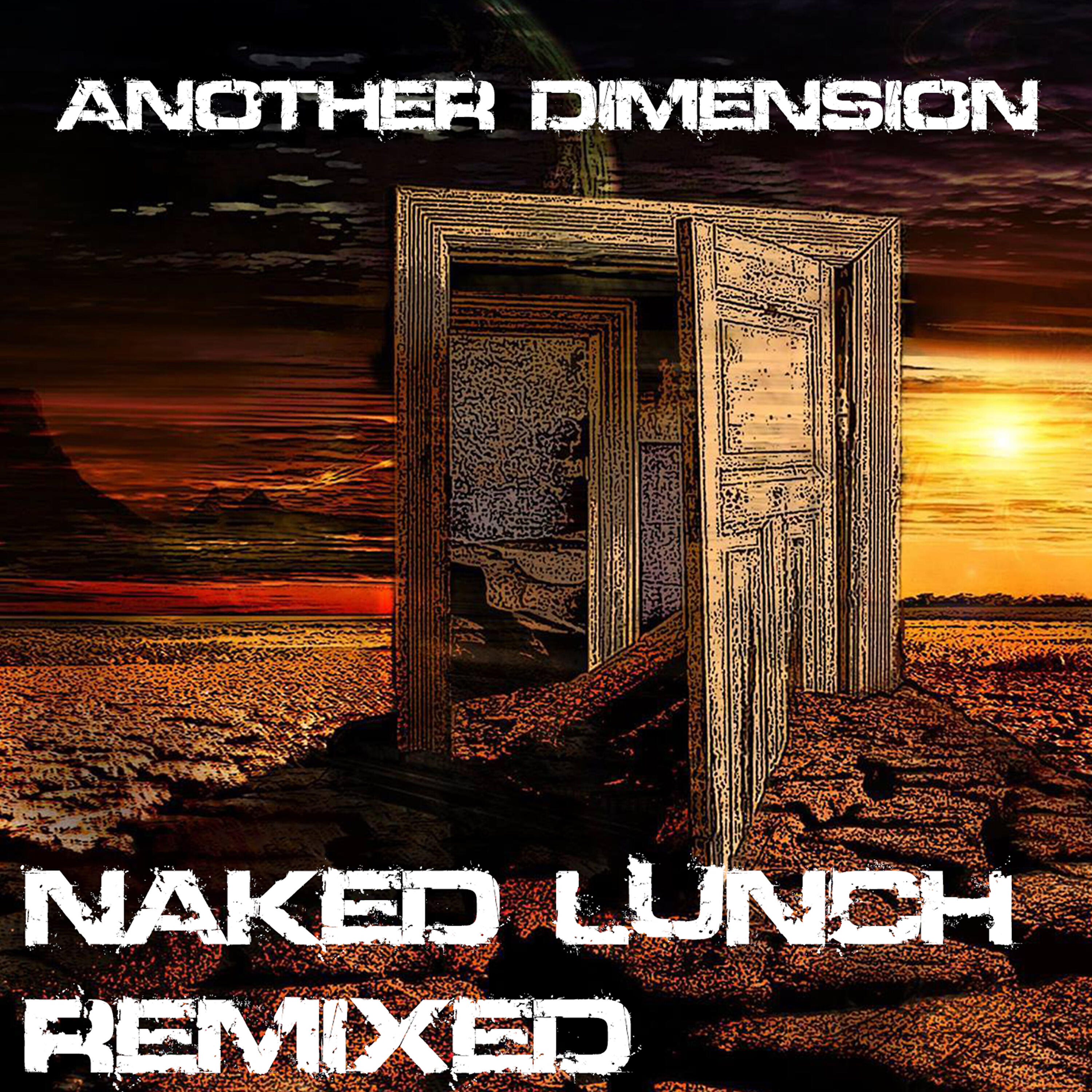Релиз Another Dimension (Naked Lunch Remixed)