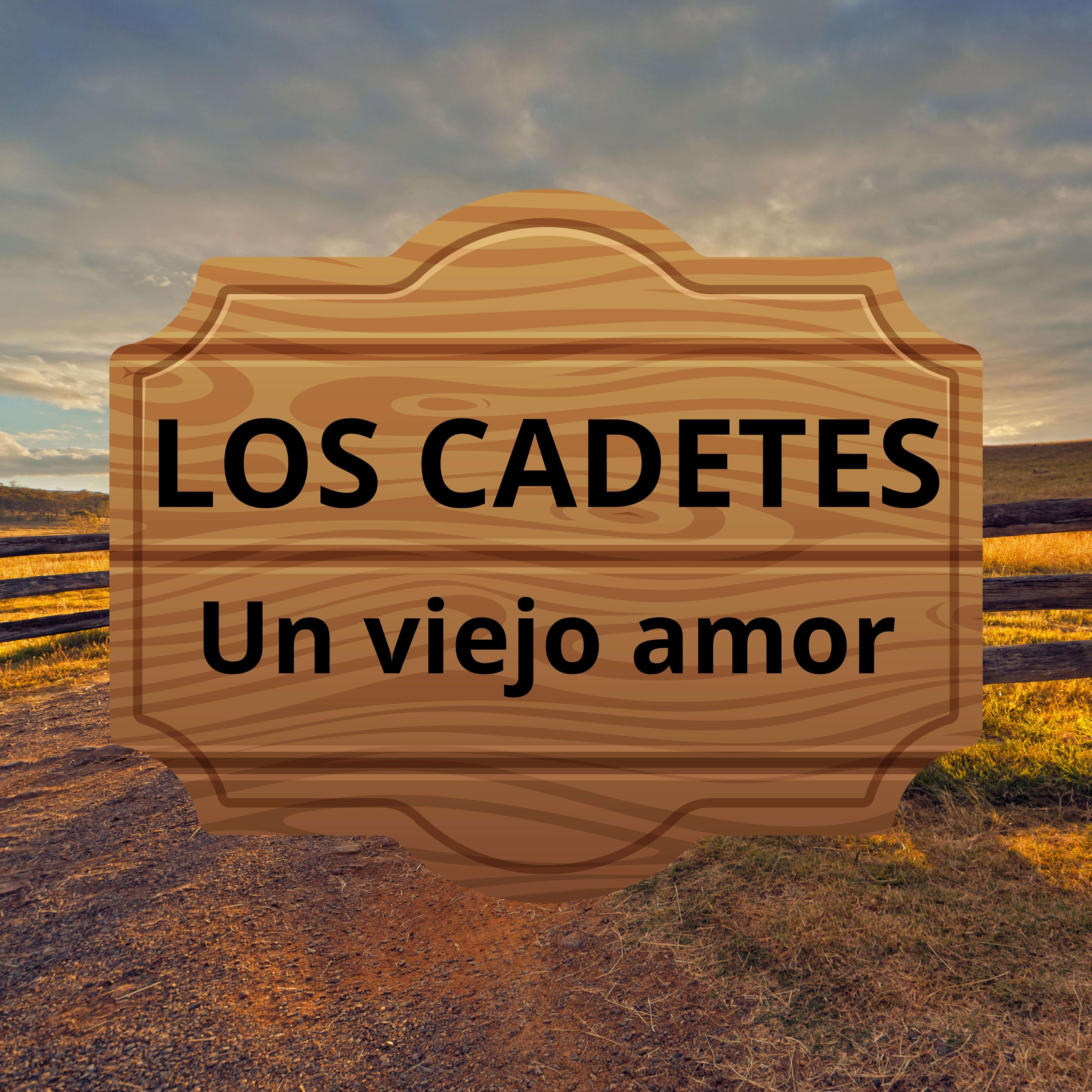 Релиз Un Viejo Amor