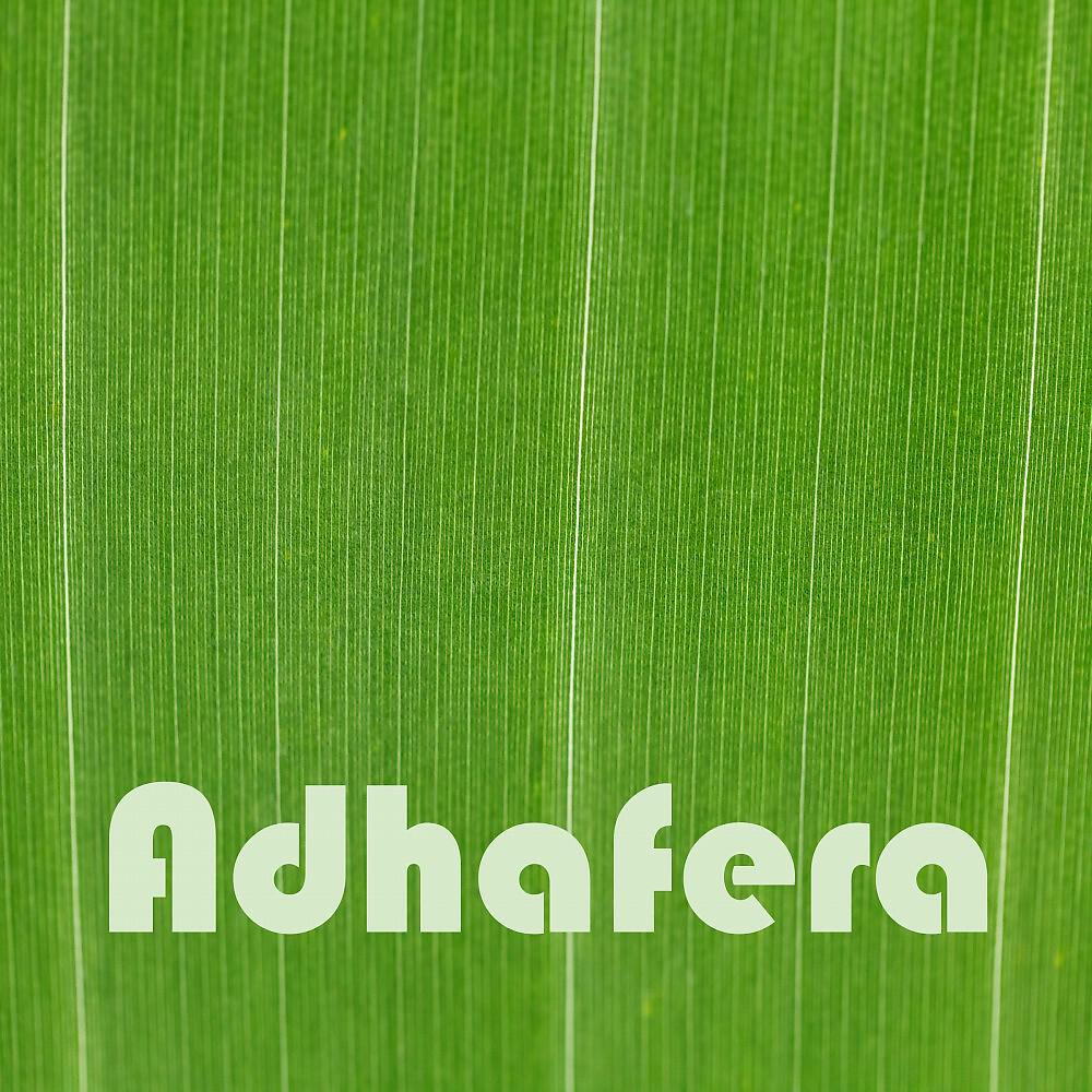 Релиз Adhafera