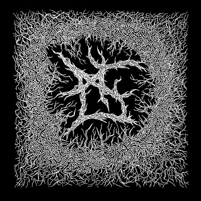 Lungtoucher
