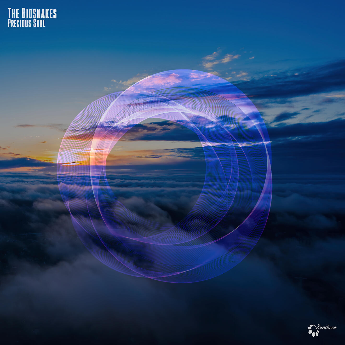 Релиз Precious Soul