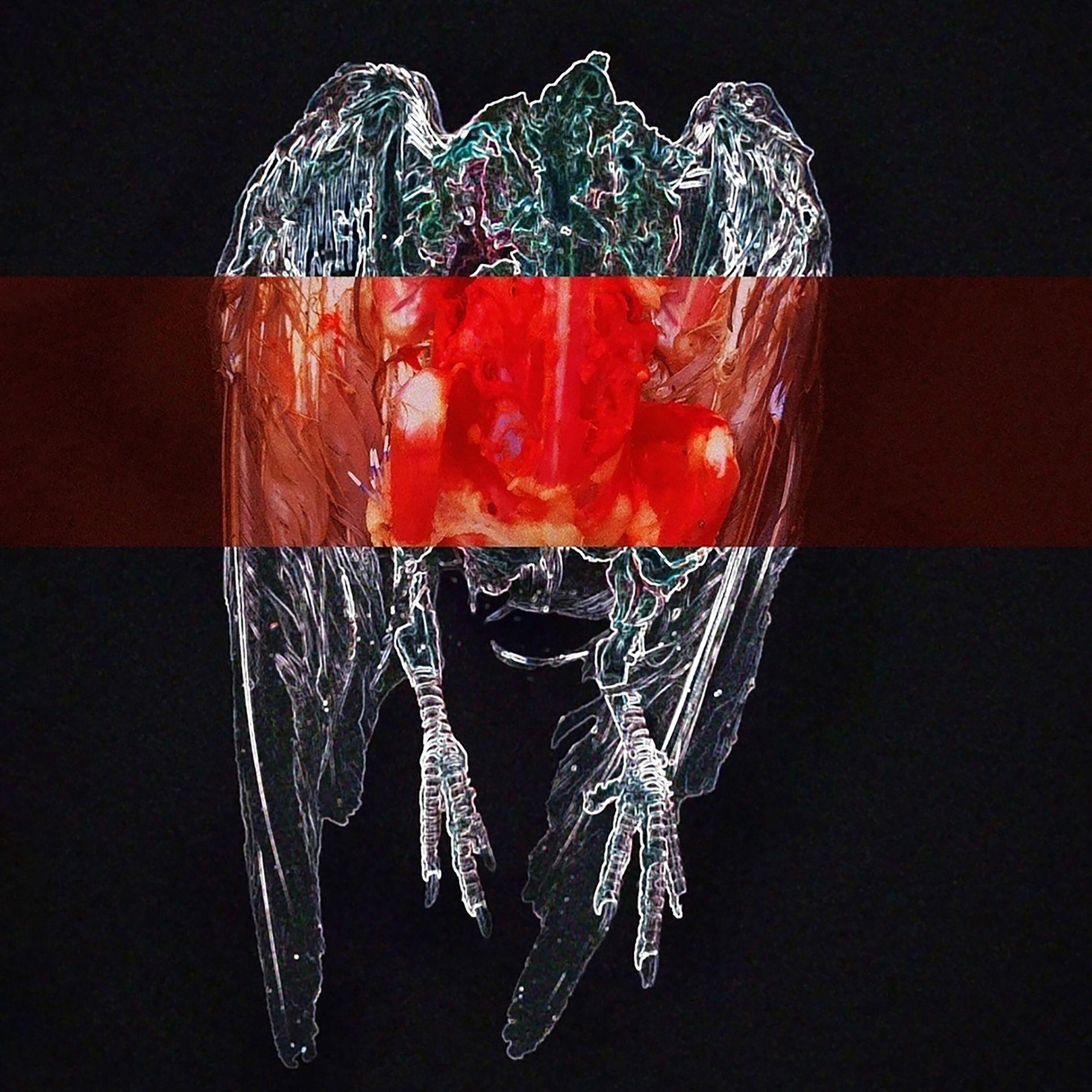 Релиз настанет лето