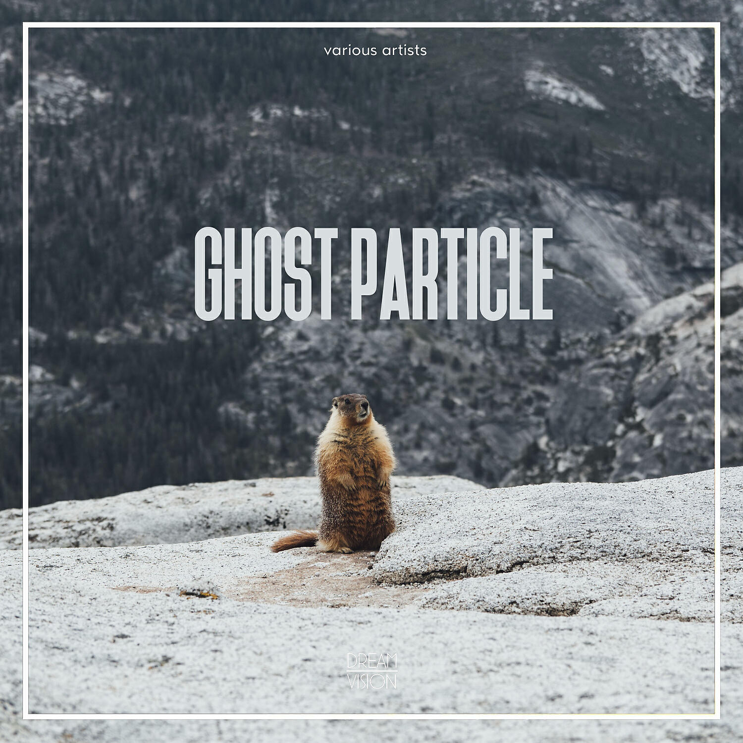 Релиз Ghost Particle