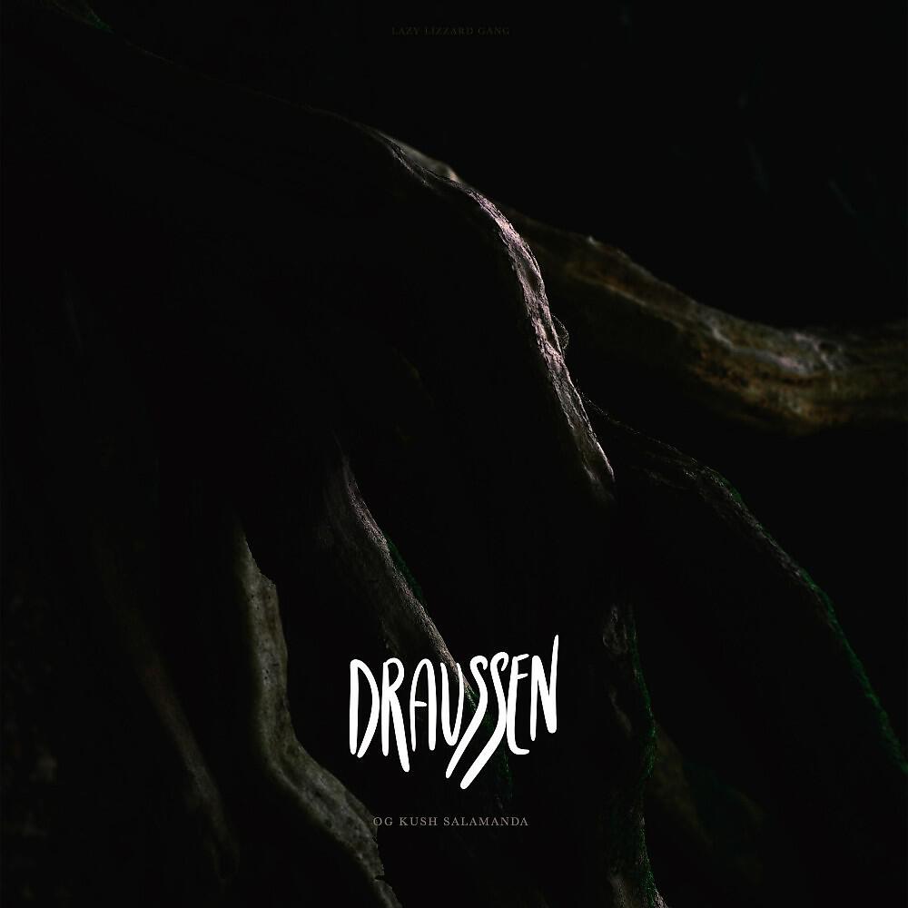 Релиз Draussen