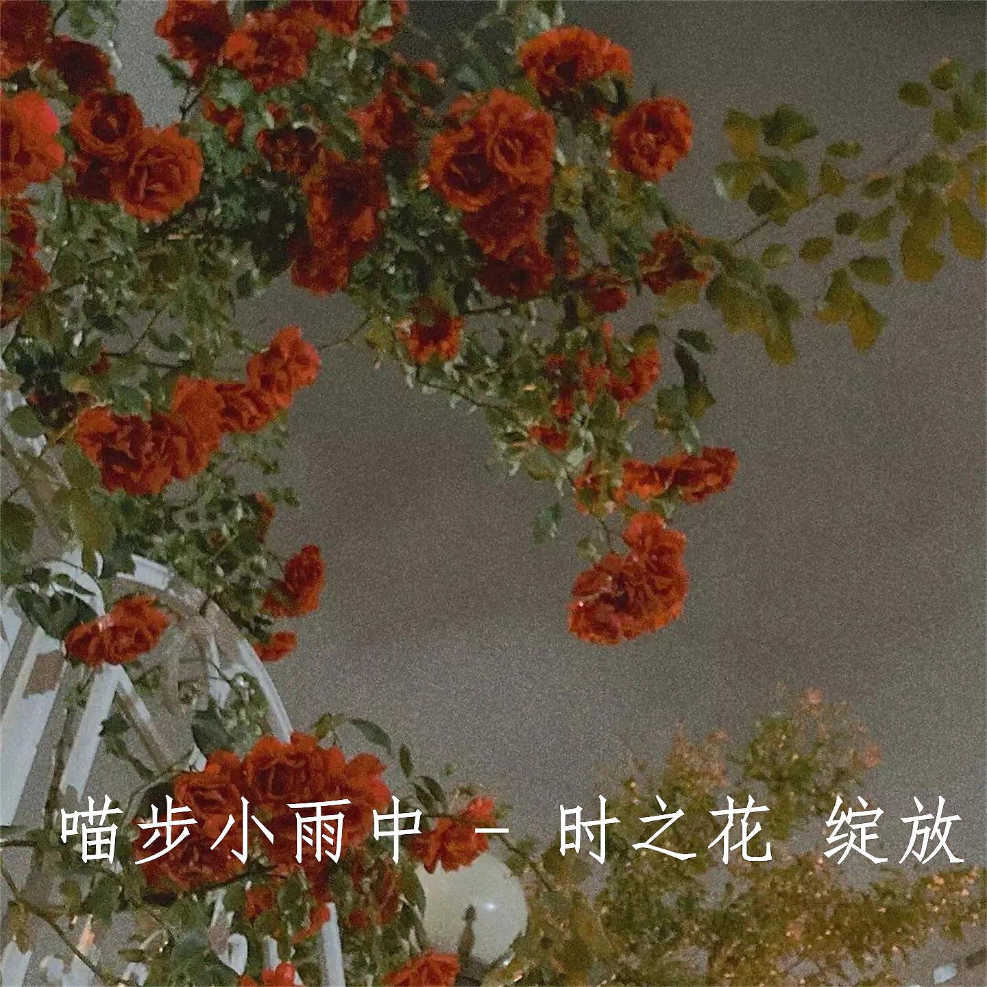 Релиз 时之花 绽放