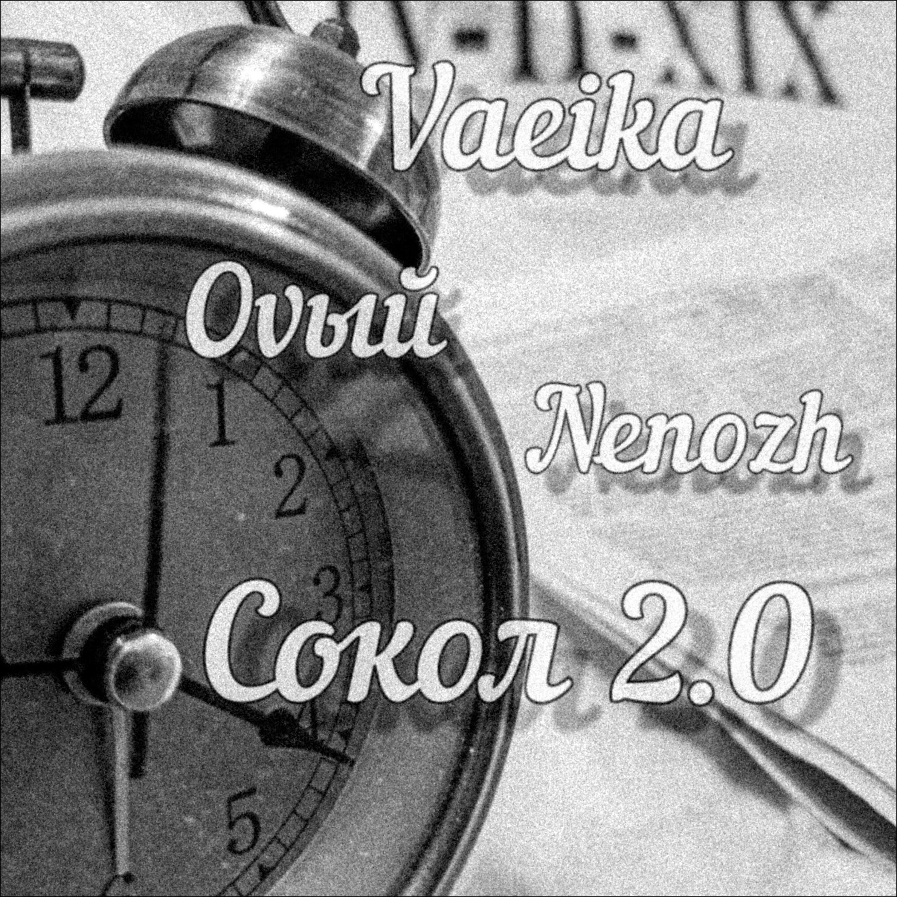 Релиз Сокол 2.0